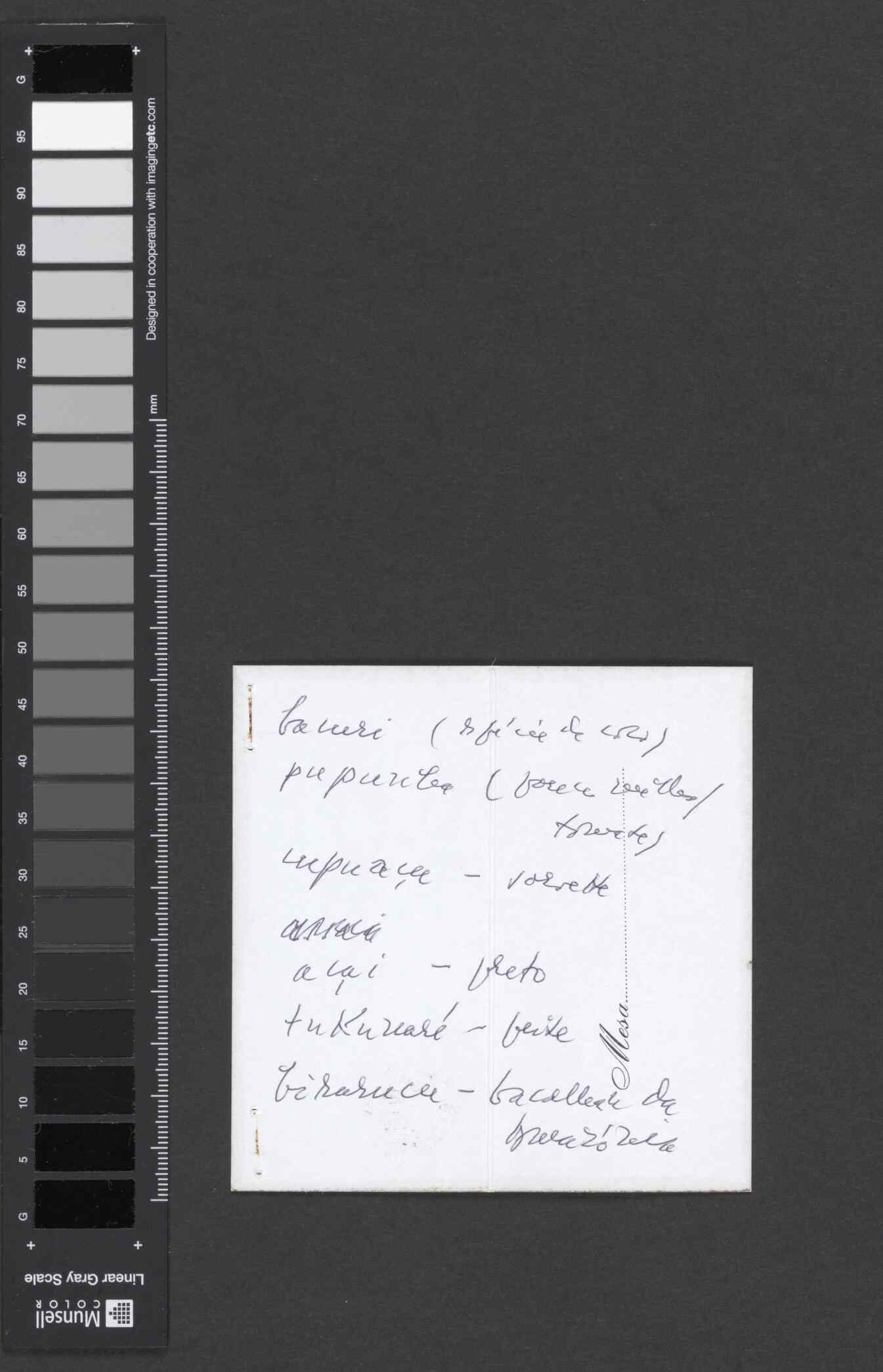 00051.002.004- pag.3