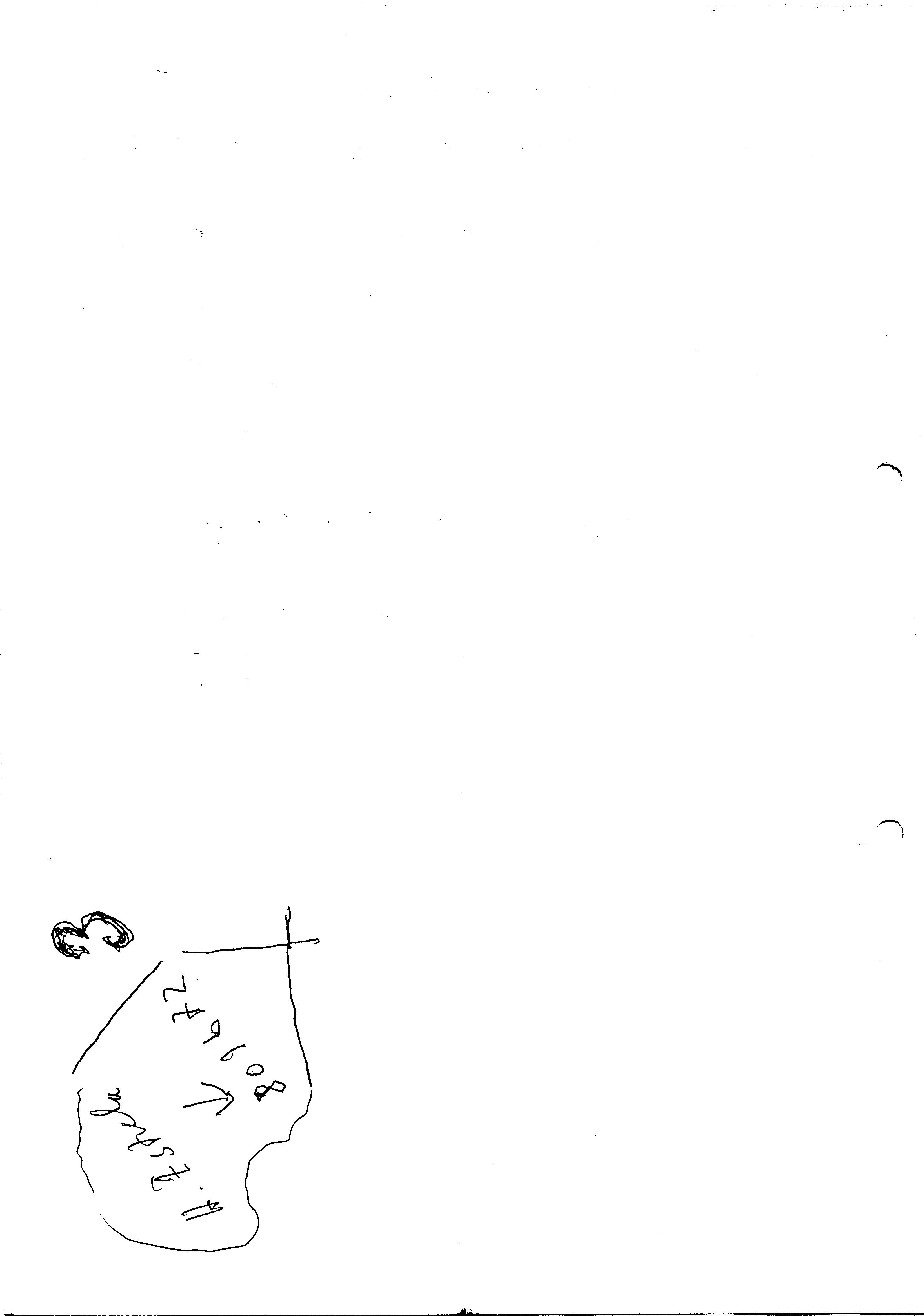 00521.001- pag.7