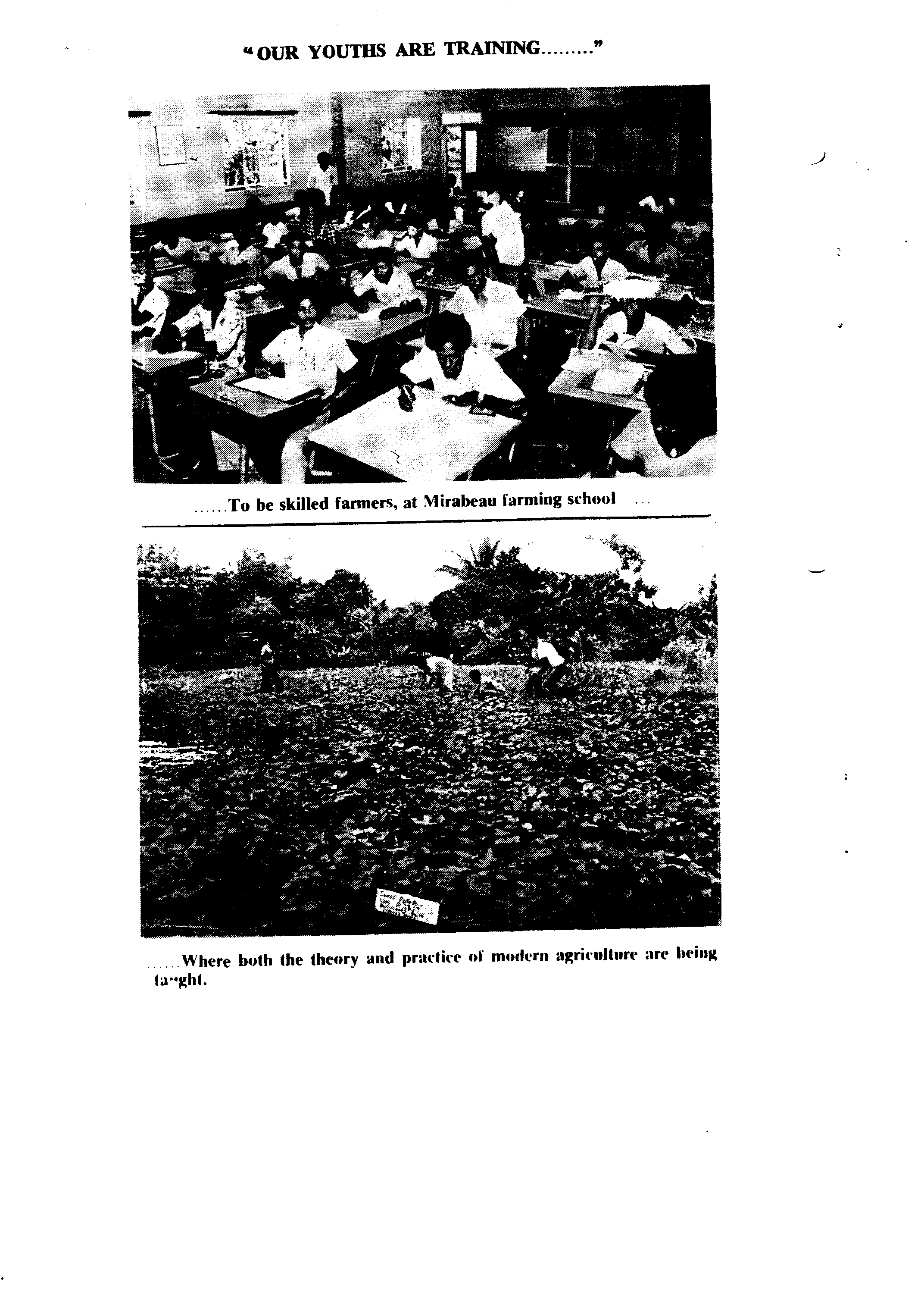 00749.001- pag.52