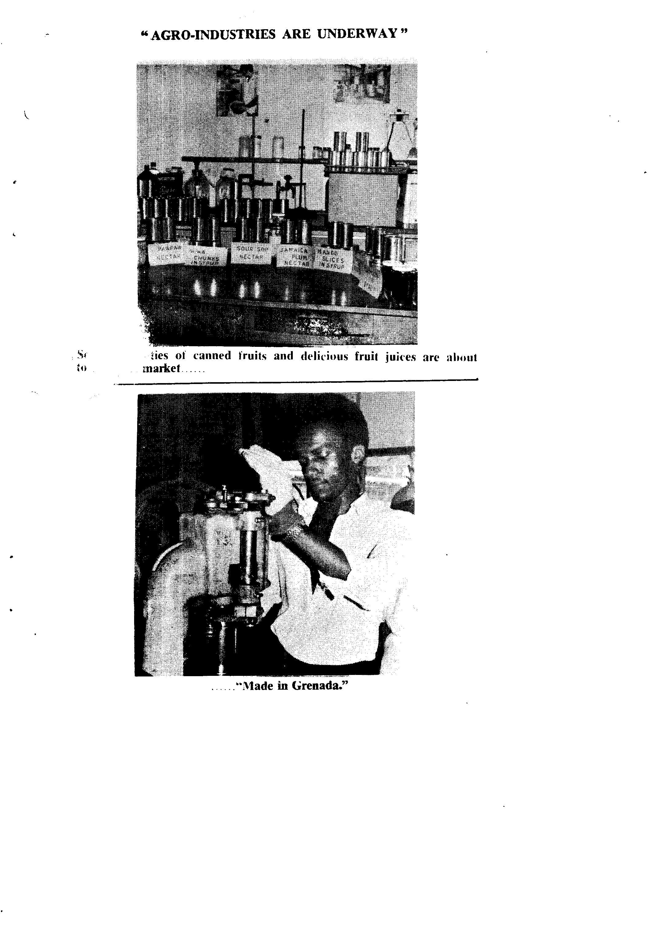 00749.001- pag.55