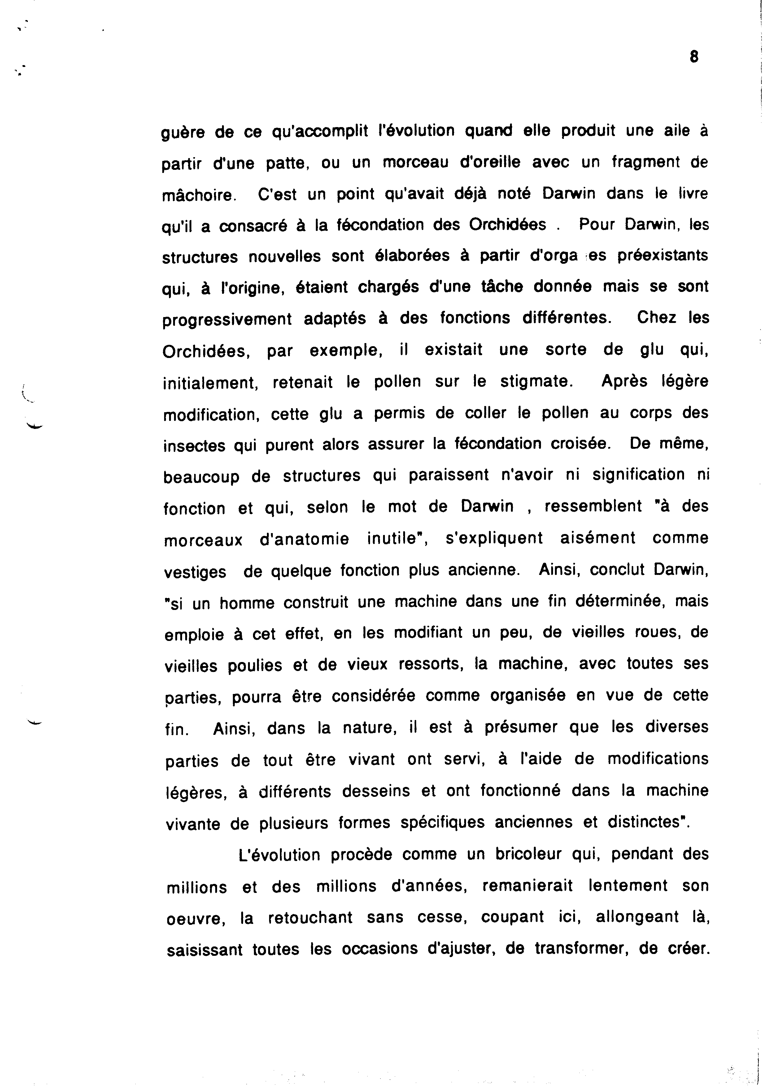 01078.005- pag.8