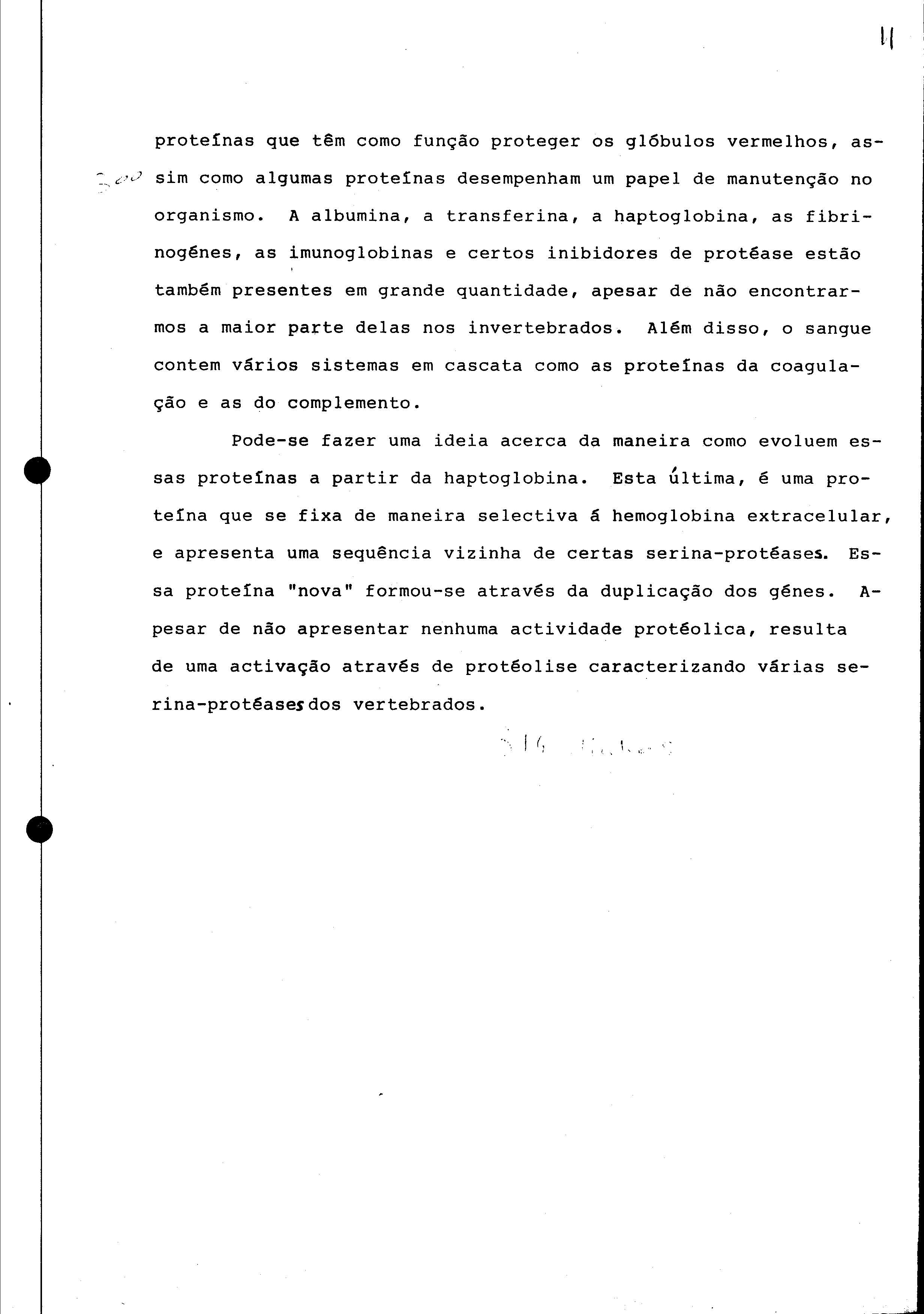 01078.005- pag.38