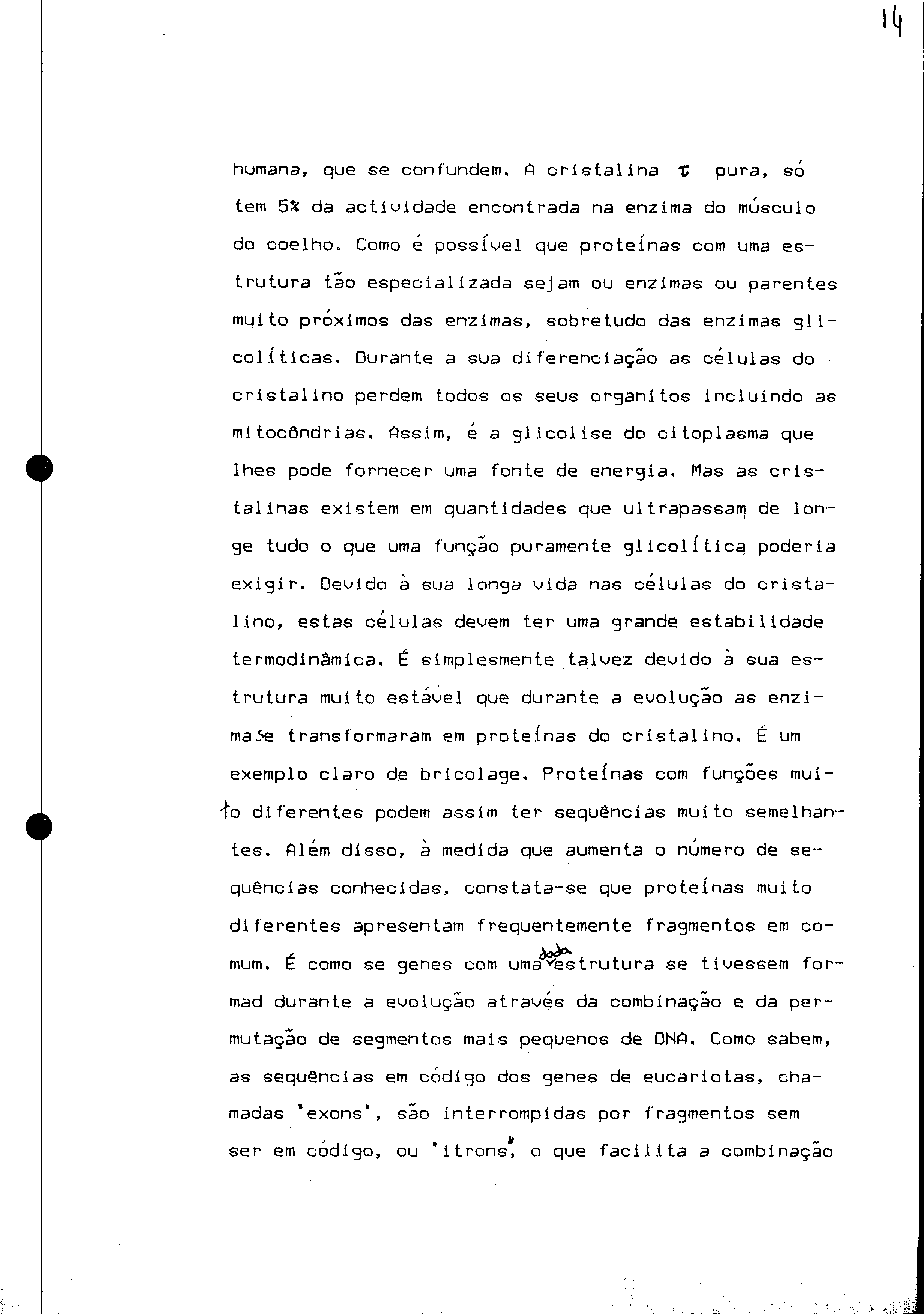 01078.005- pag.41
