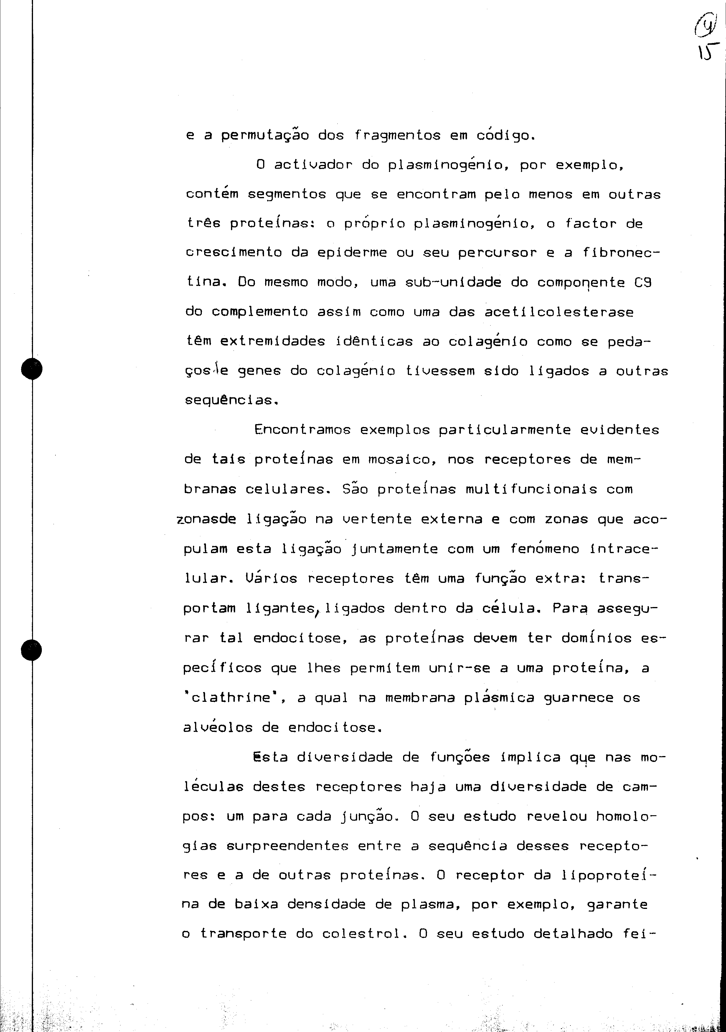 01078.005- pag.42