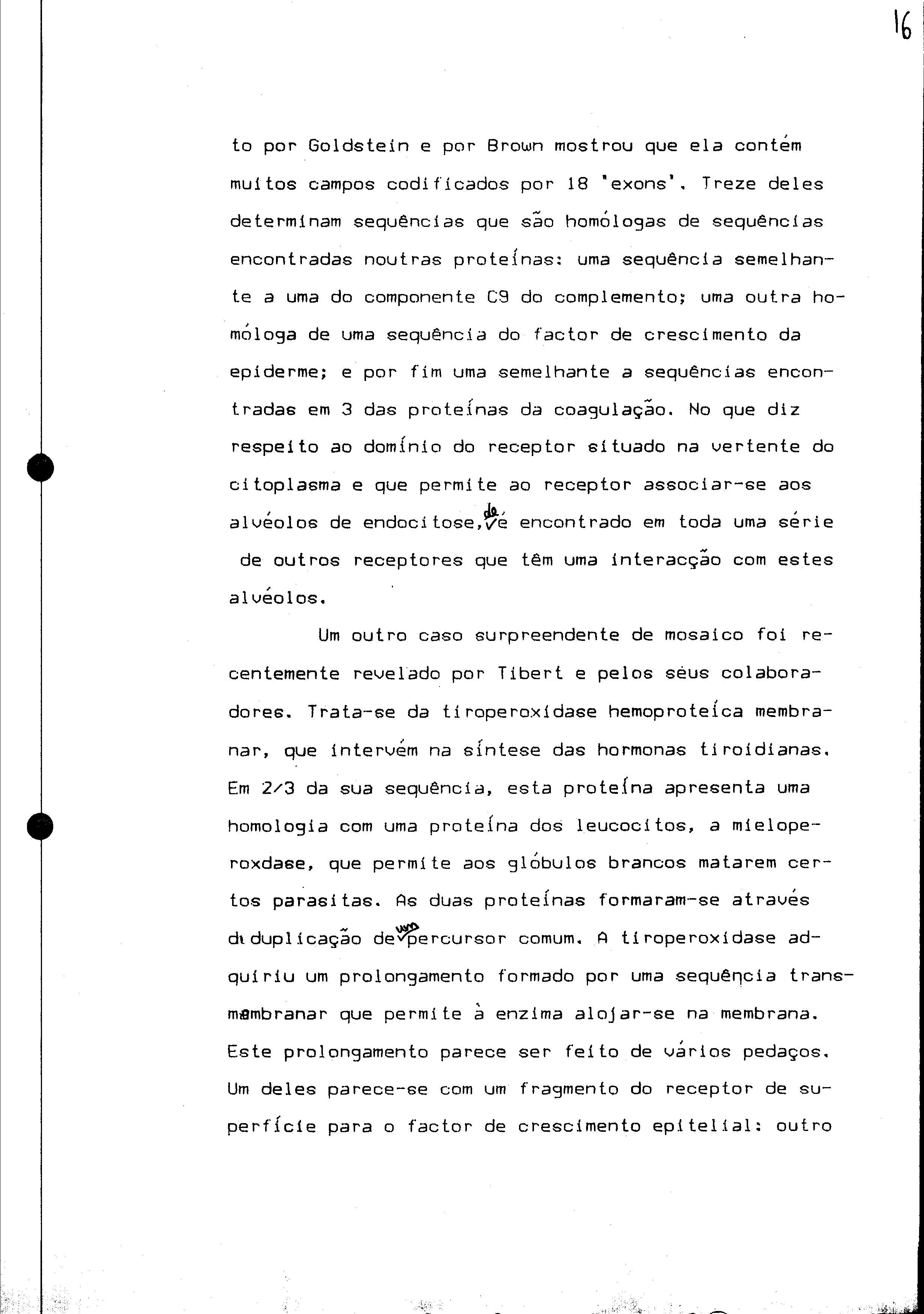 01078.005- pag.43