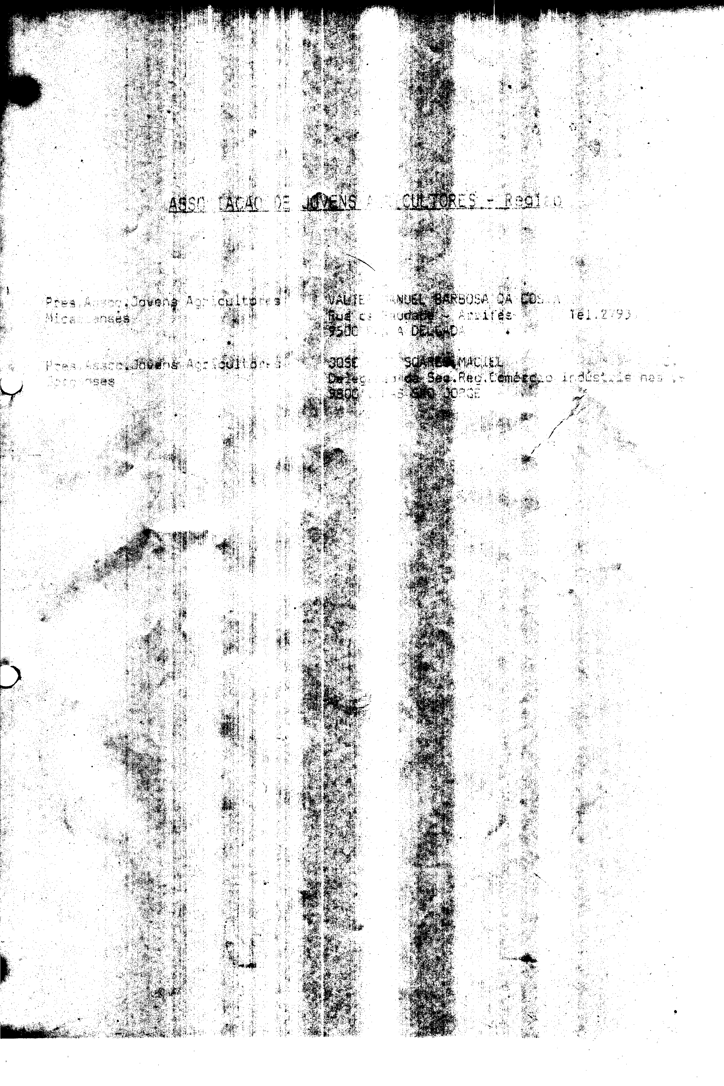 01314.003- pag.49
