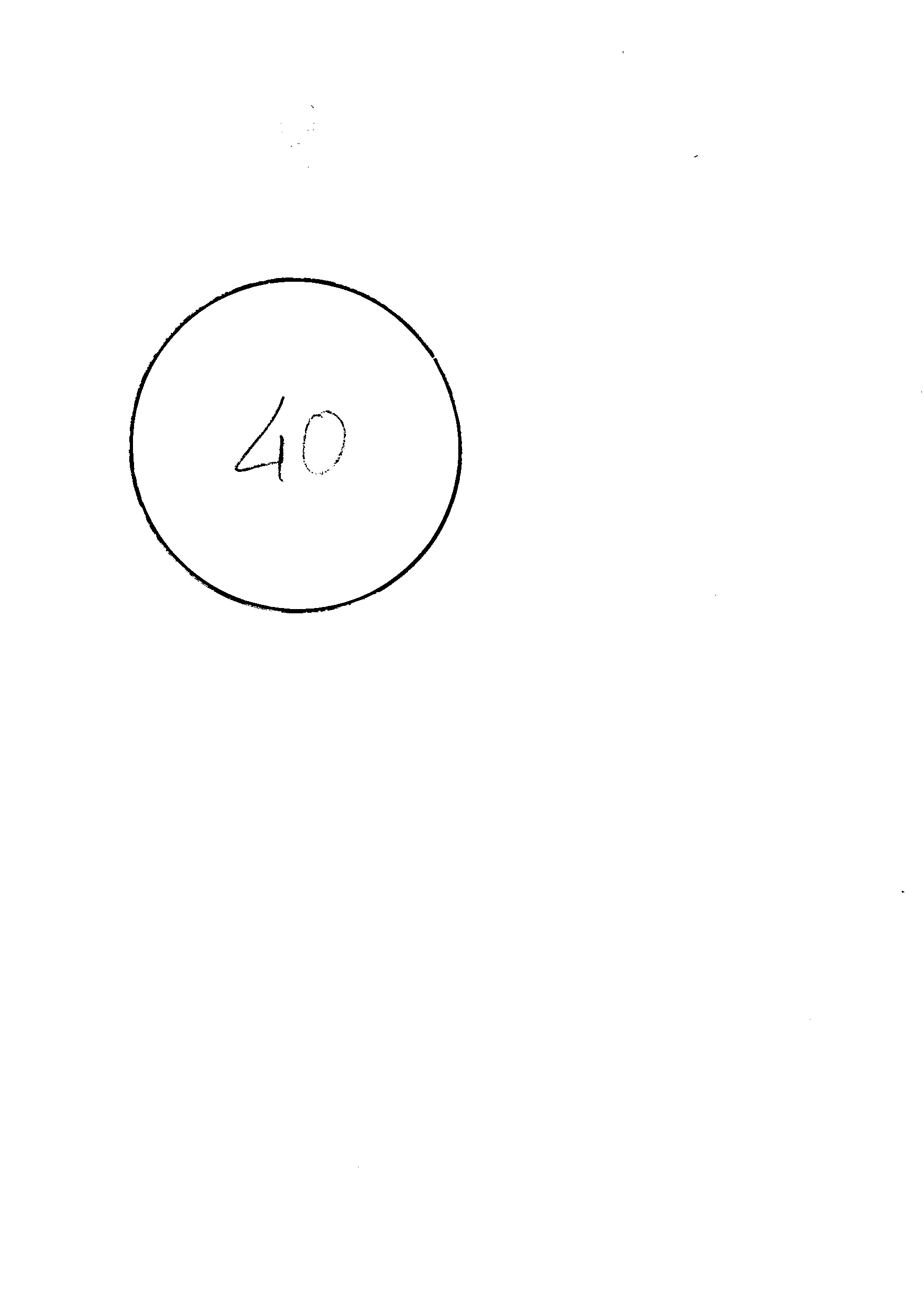 01320.005- pag.13
