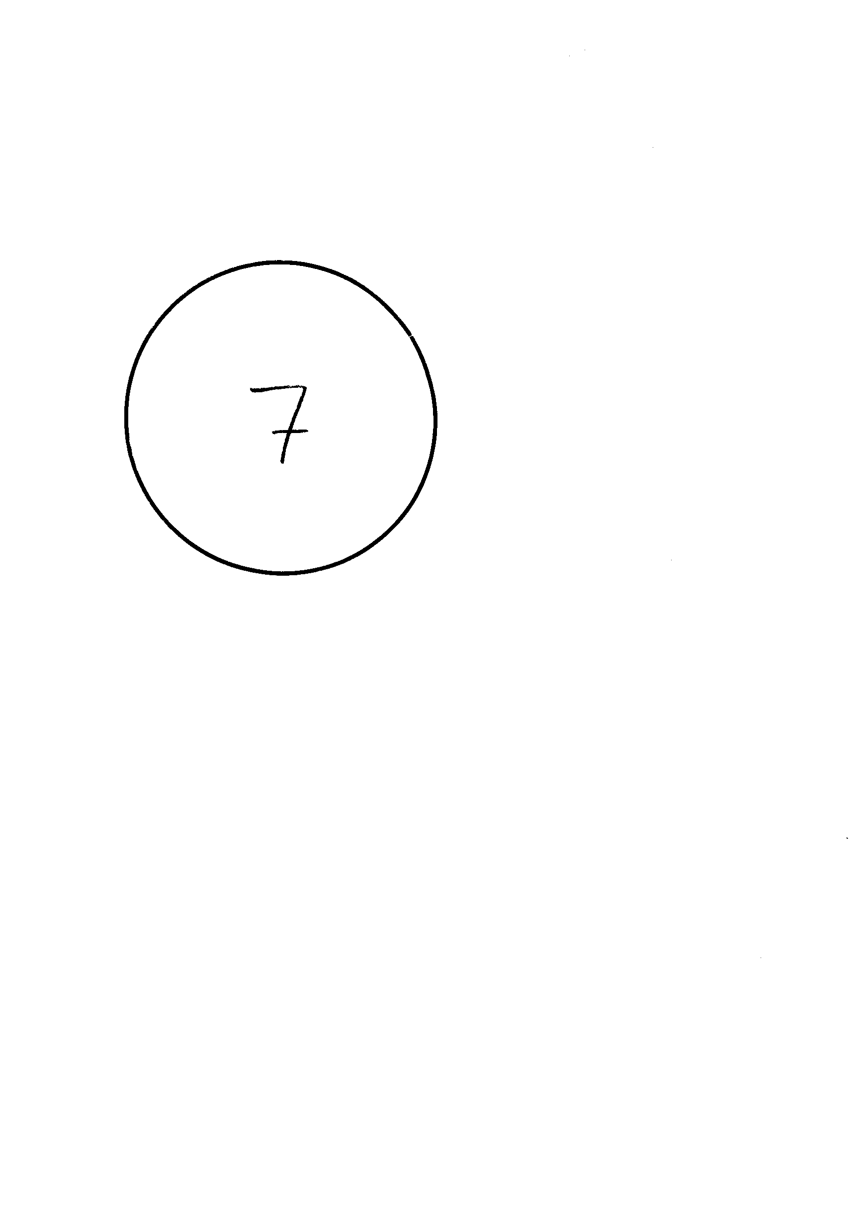 01320.006- pag.7
