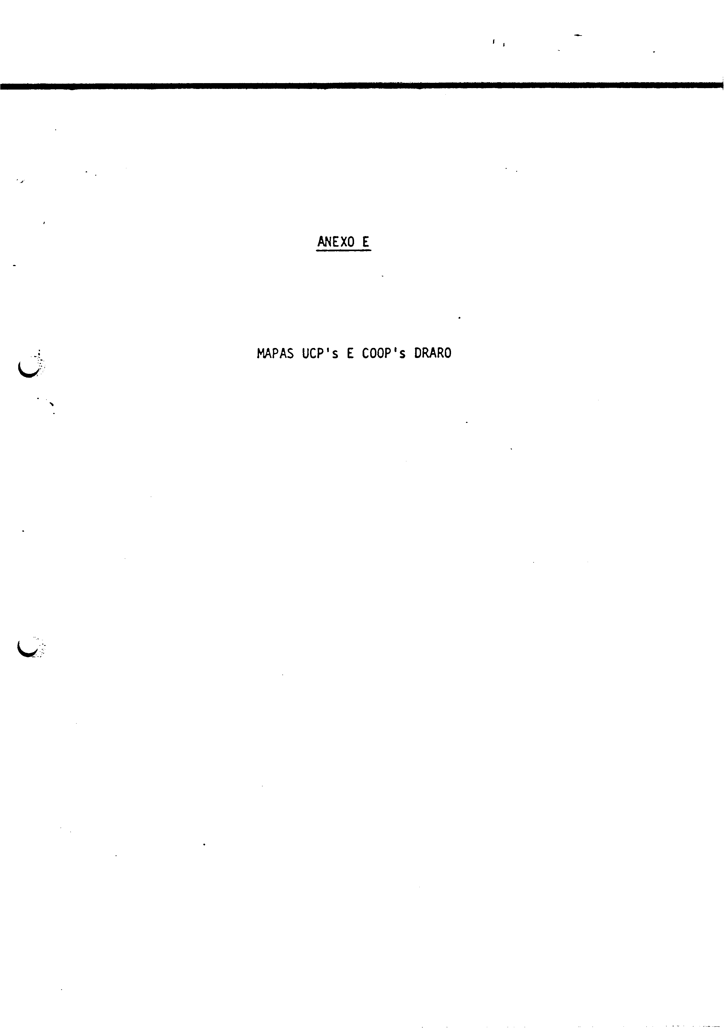 01341.004- pag.19