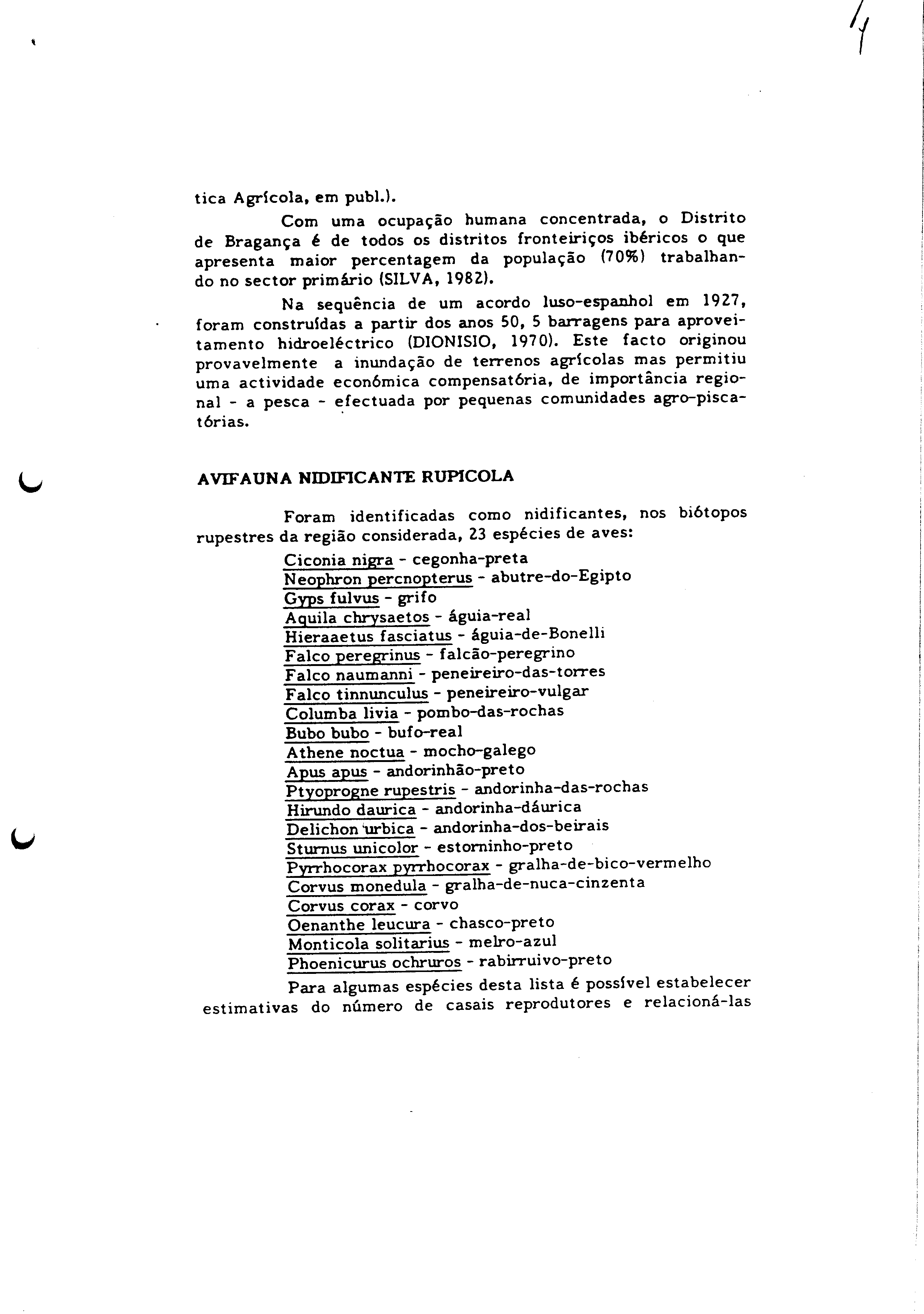01349.007- pag.17
