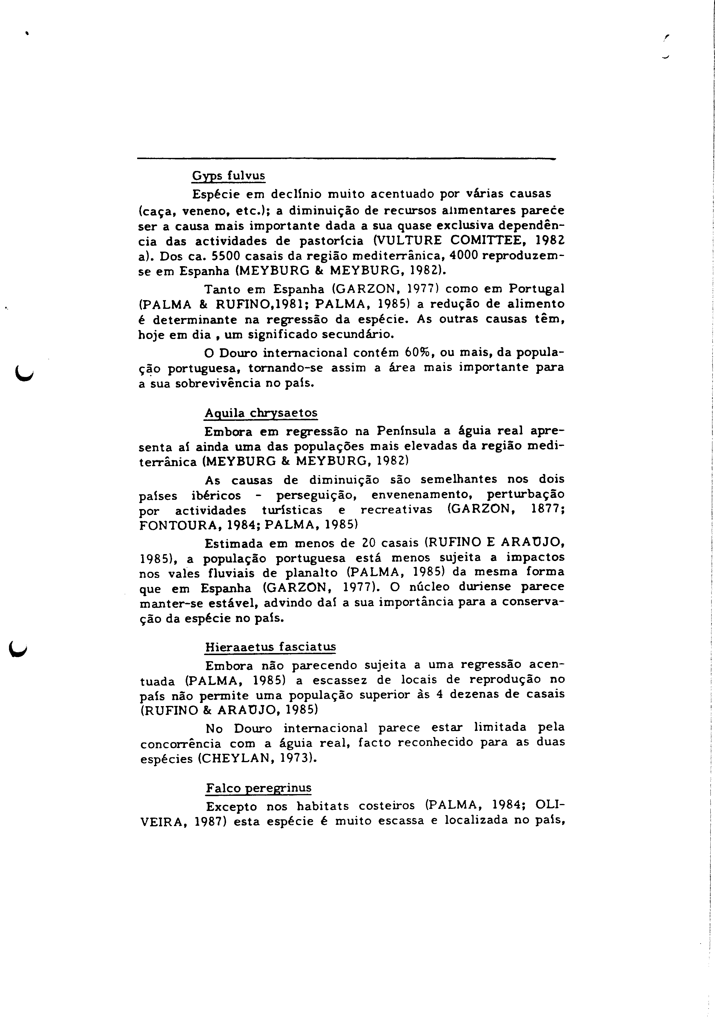 01349.007- pag.19