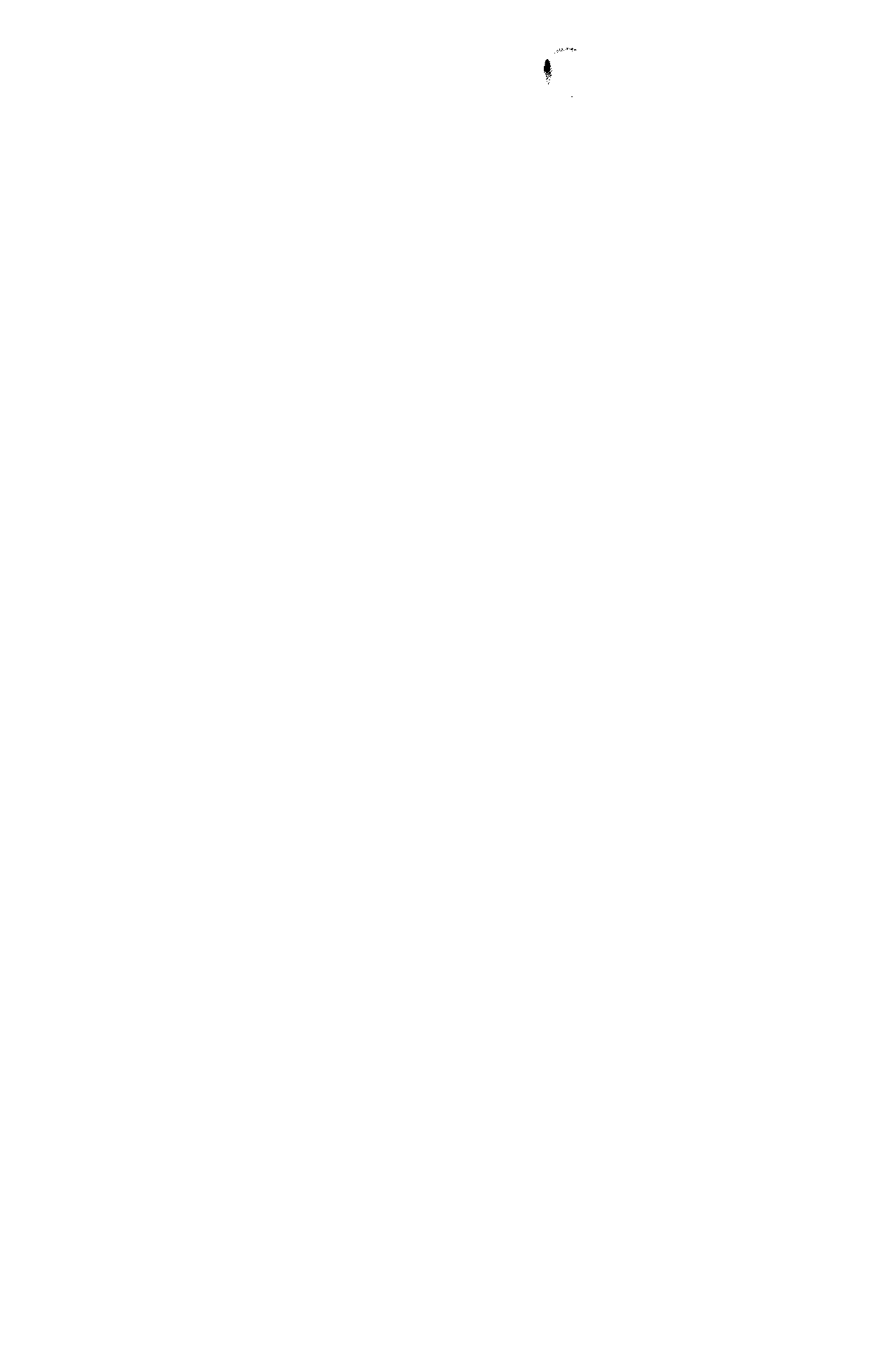01415.001- pag.28