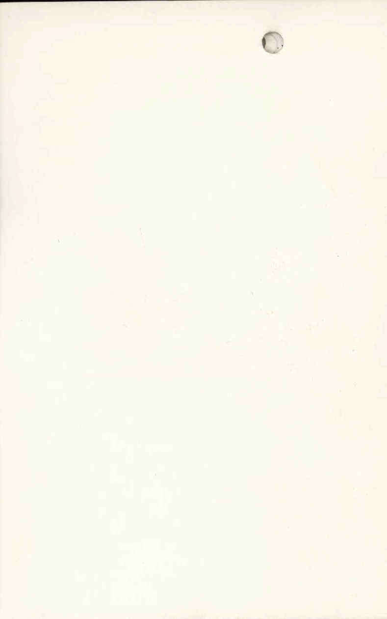 01529.001- pag.28