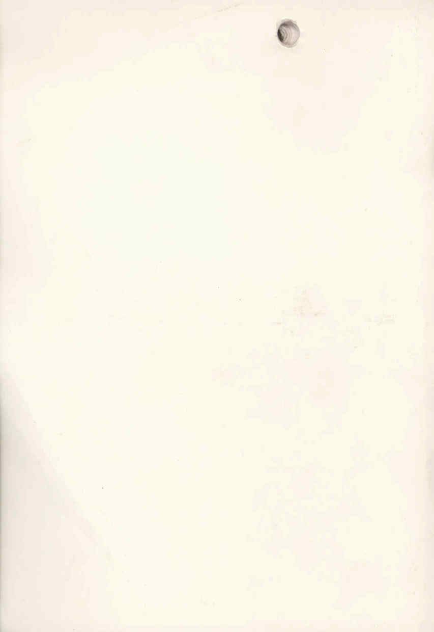 01533.001- pag.49