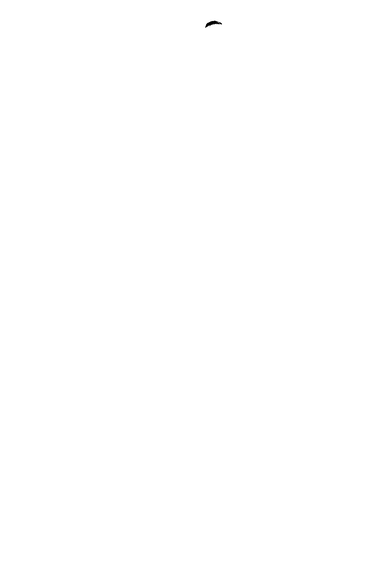01545.001- pag.5