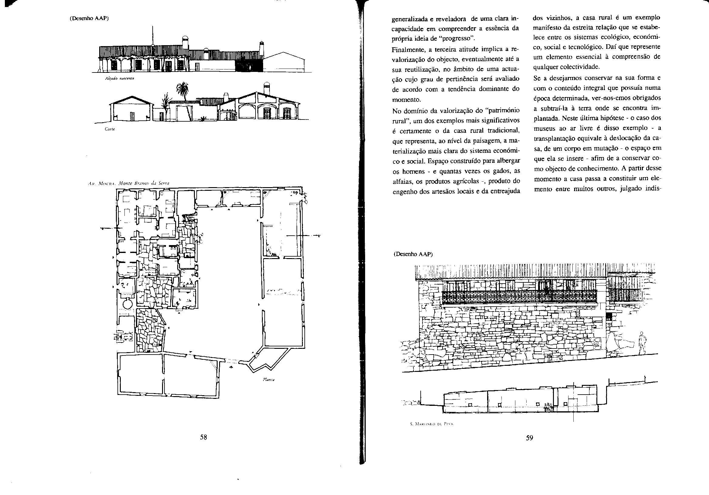 02029.007- pag.81