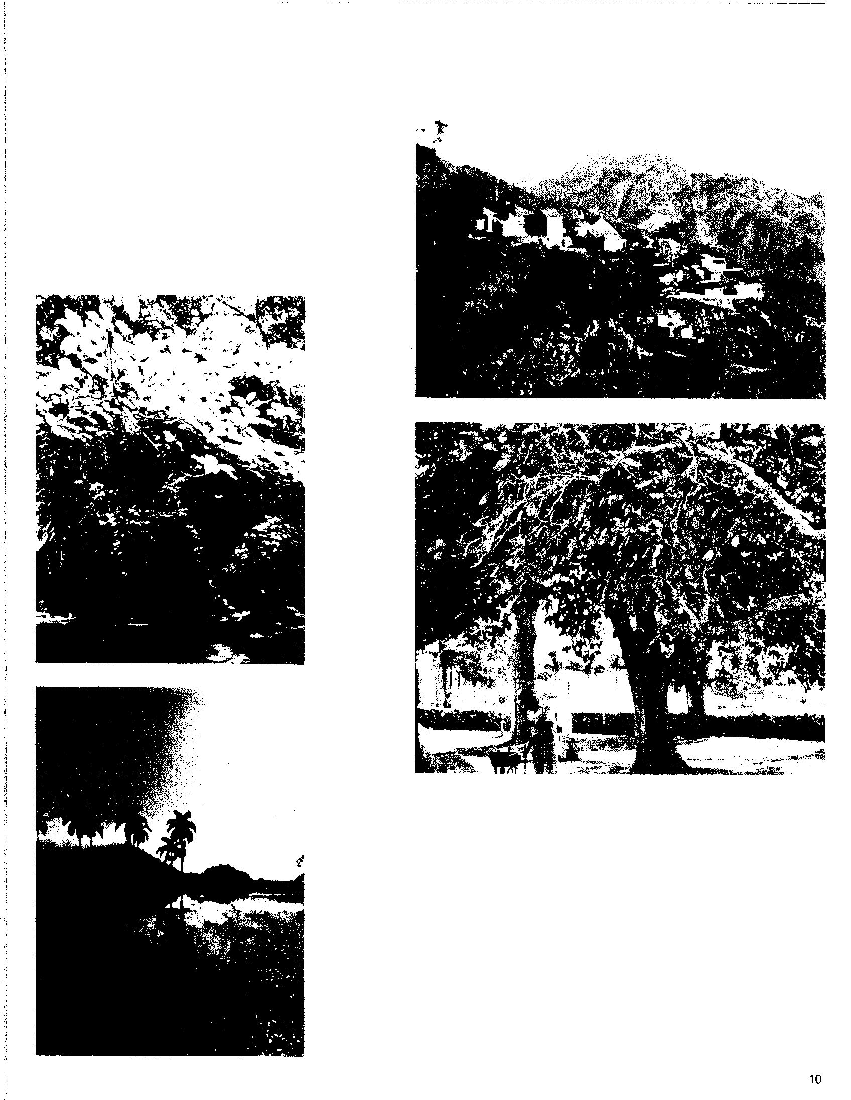 02133.000- pag.19