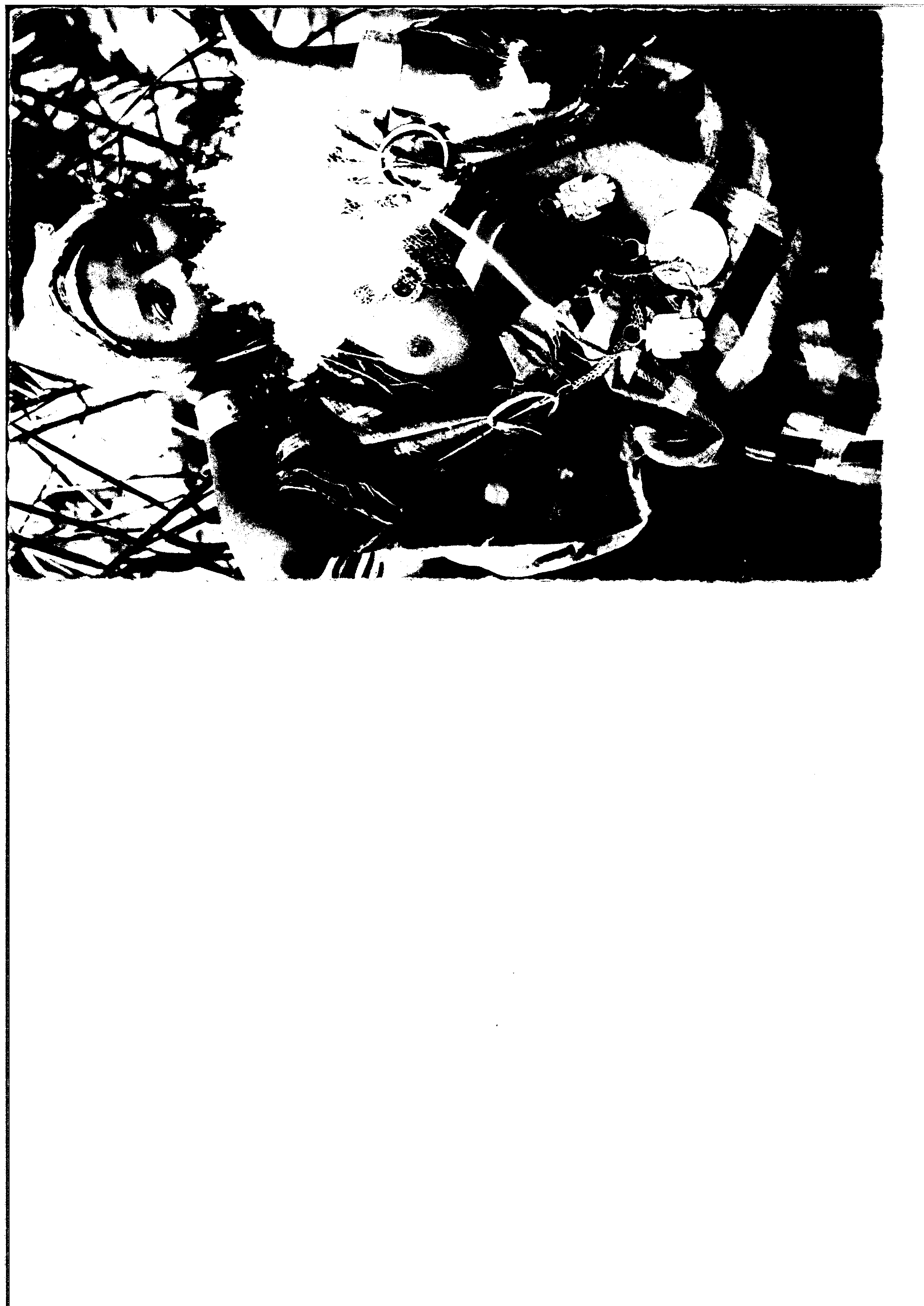 02583.004- pag.74