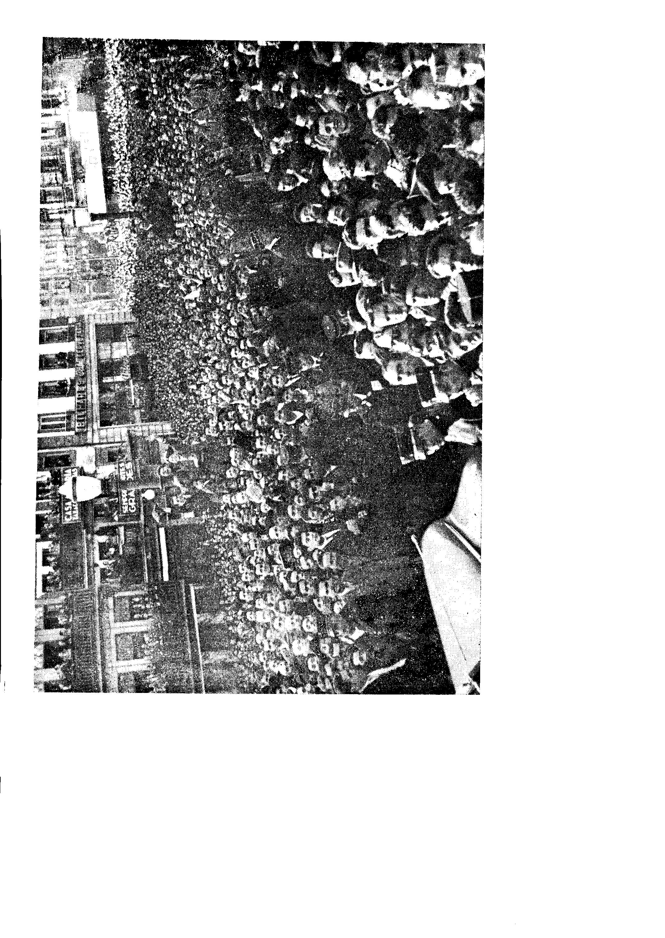 02587.011.010- pag.8