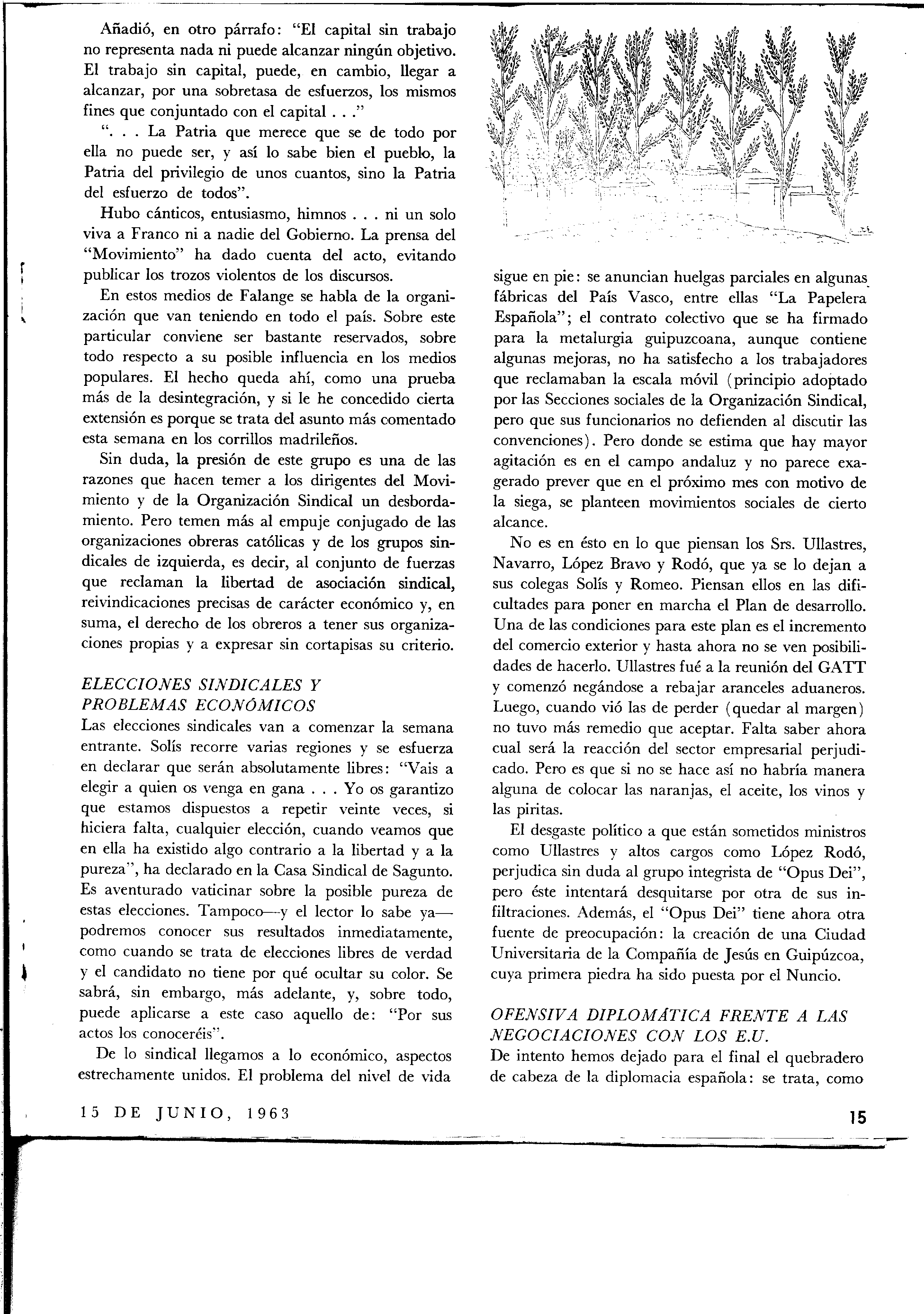 02603.003.005- pag.19