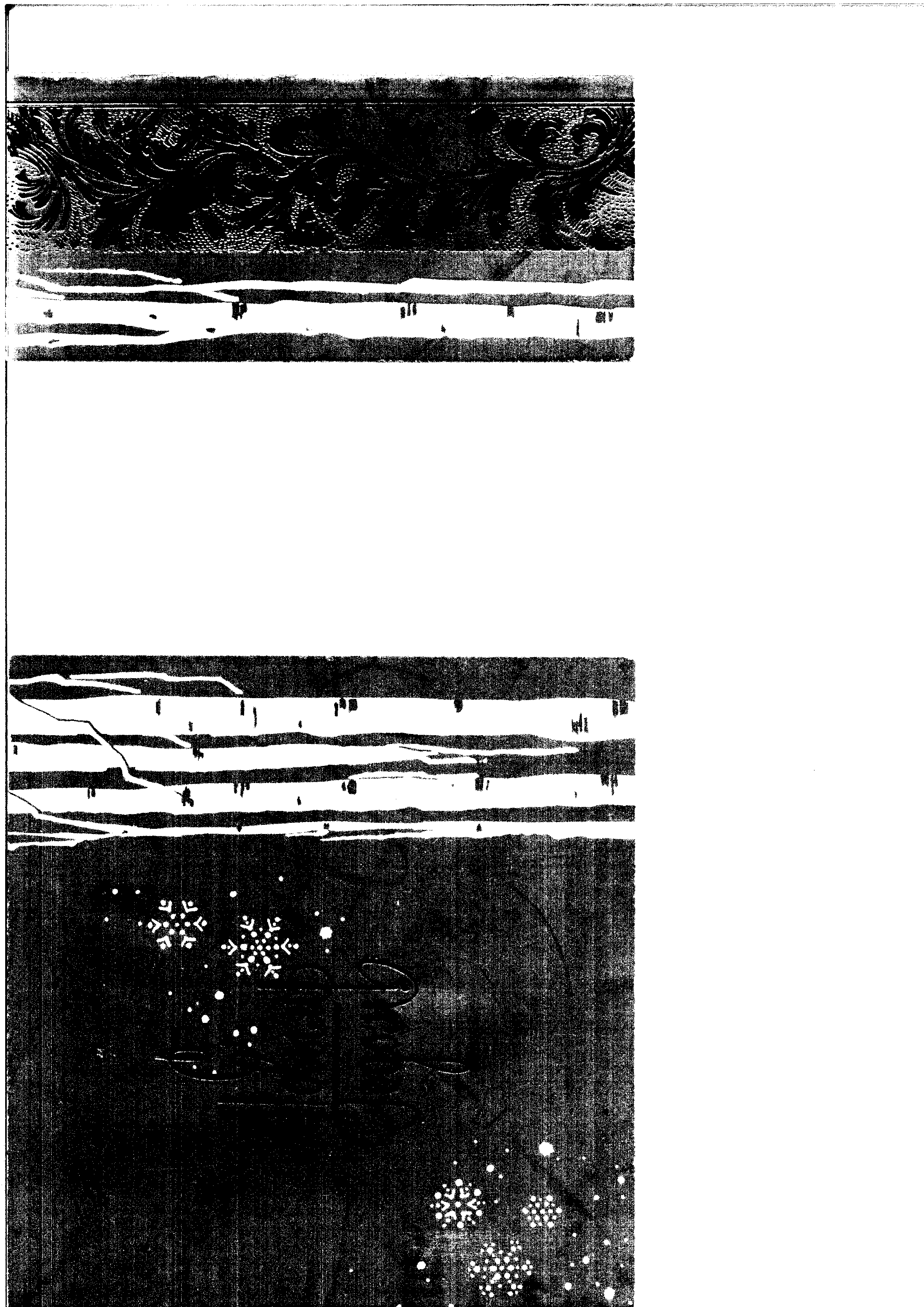 02933.034- pag.4
