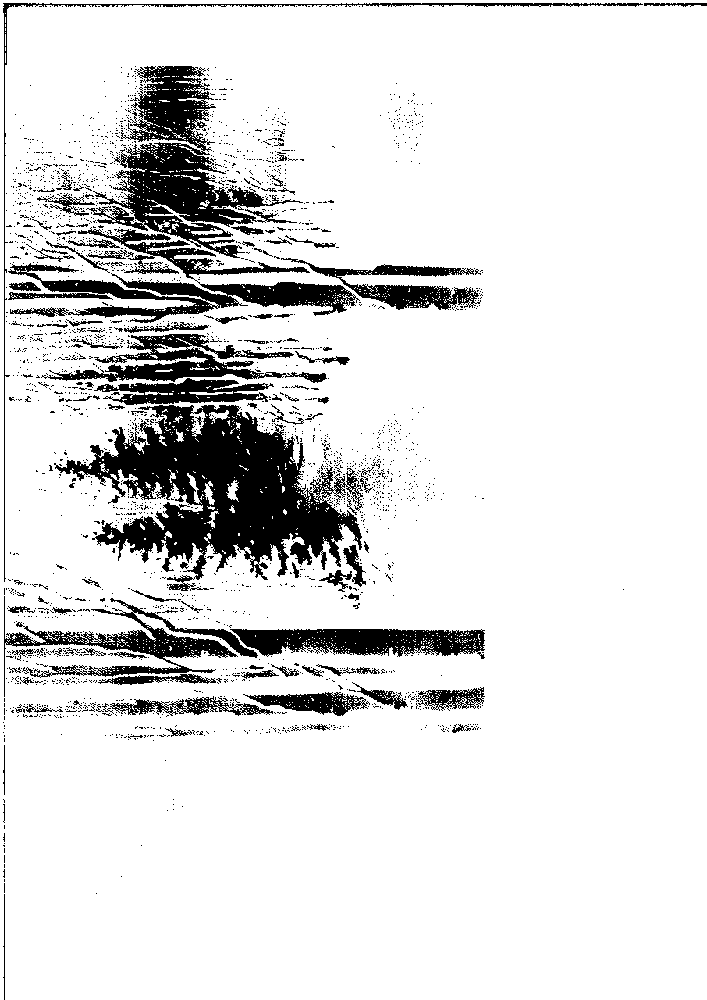 02933.034- pag.5