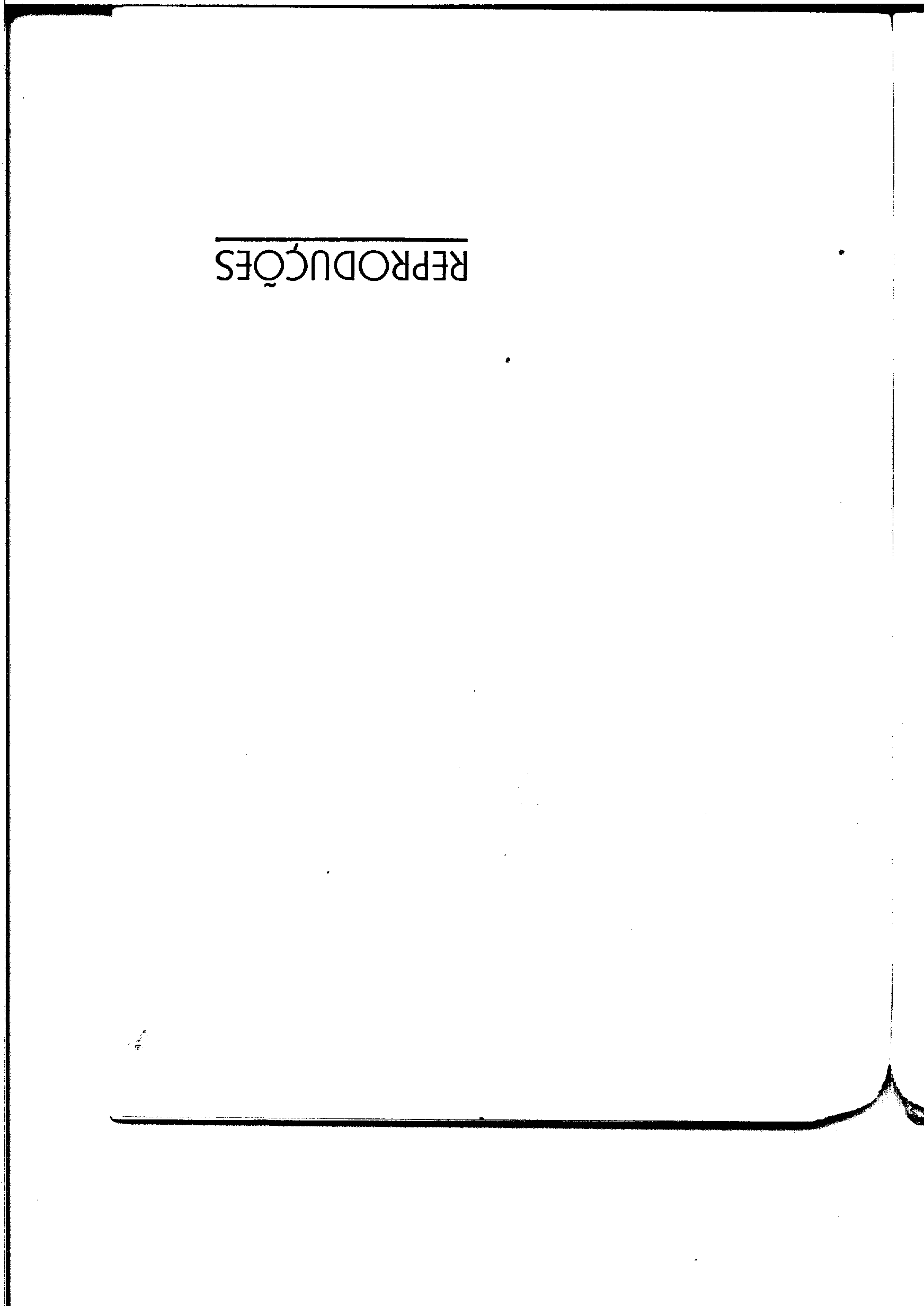 02969.066- pag.33