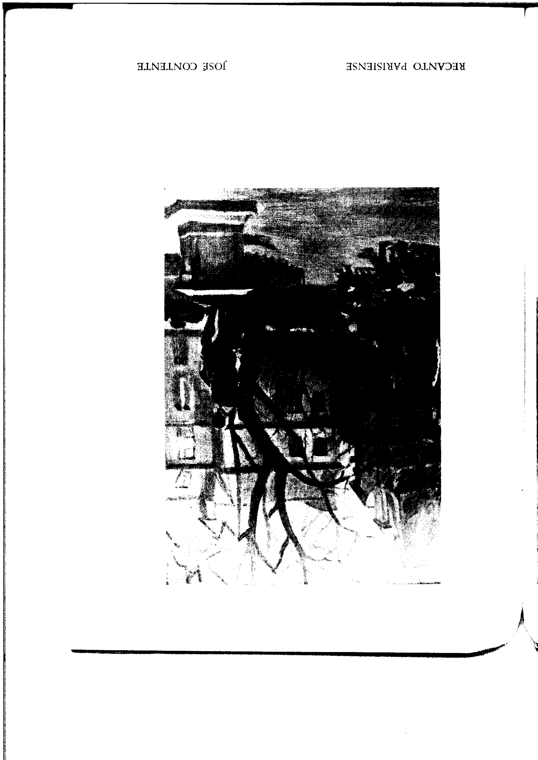 02969.066- pag.38