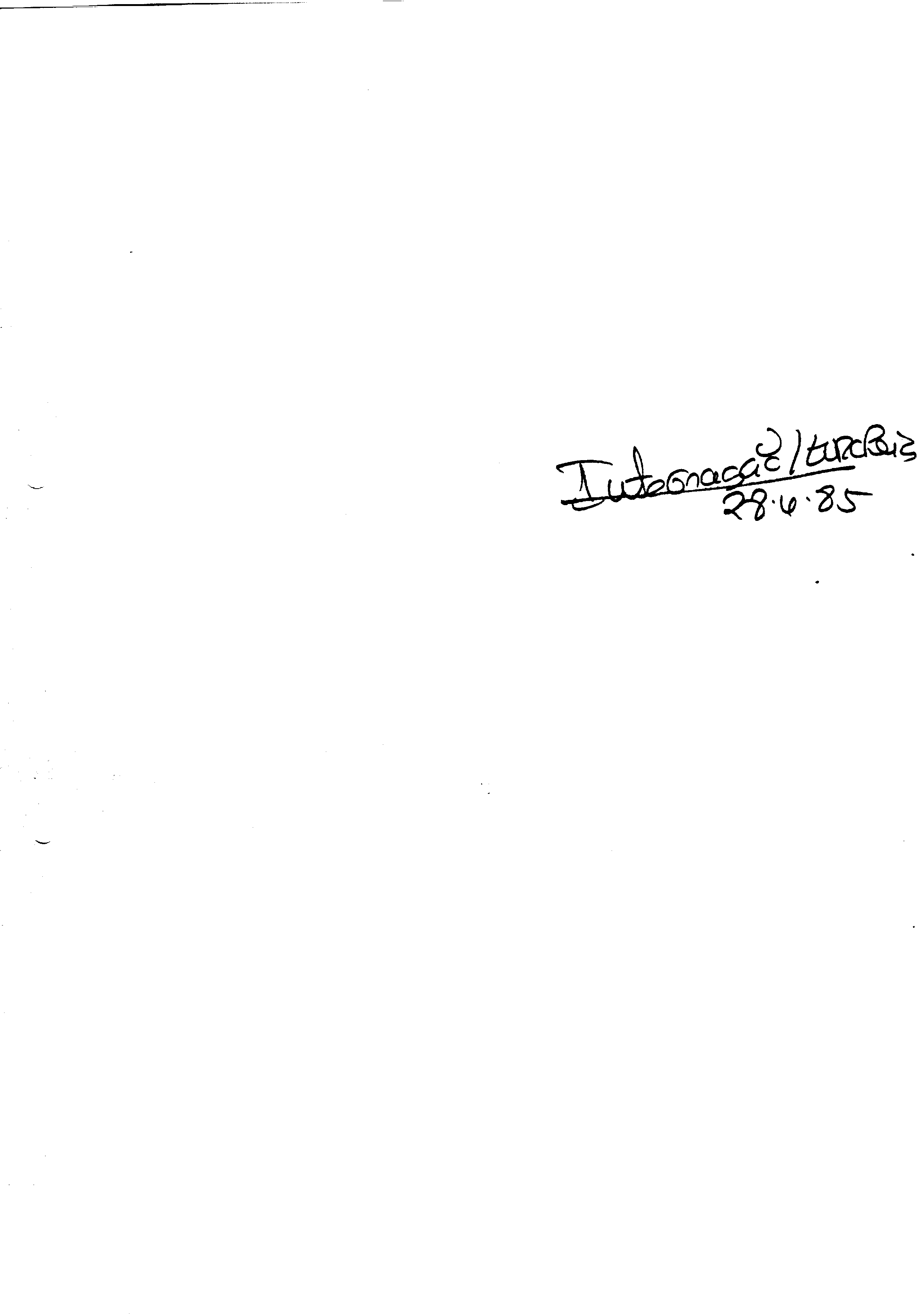 03484.001- pag.127
