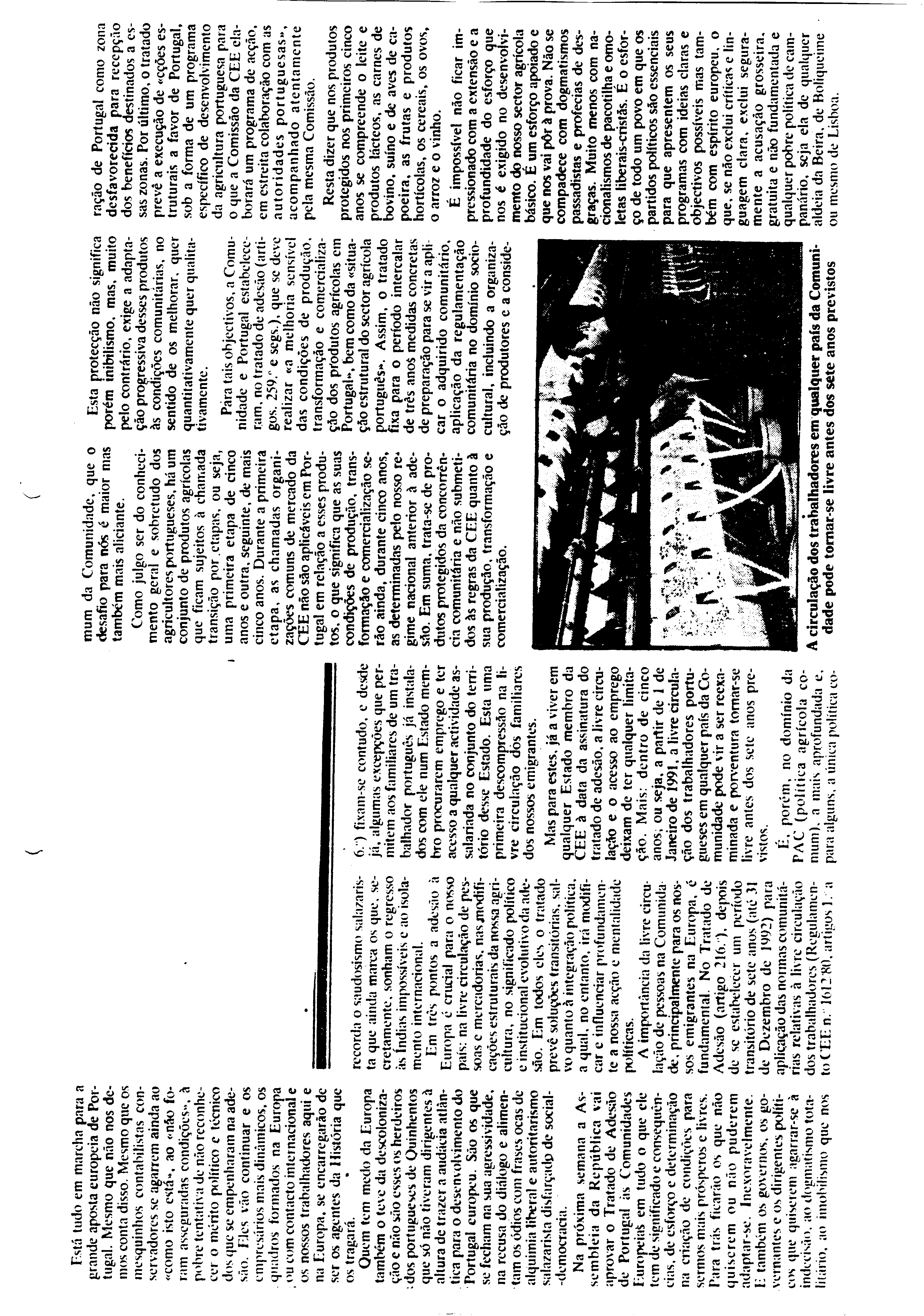 03491.002- pag.124