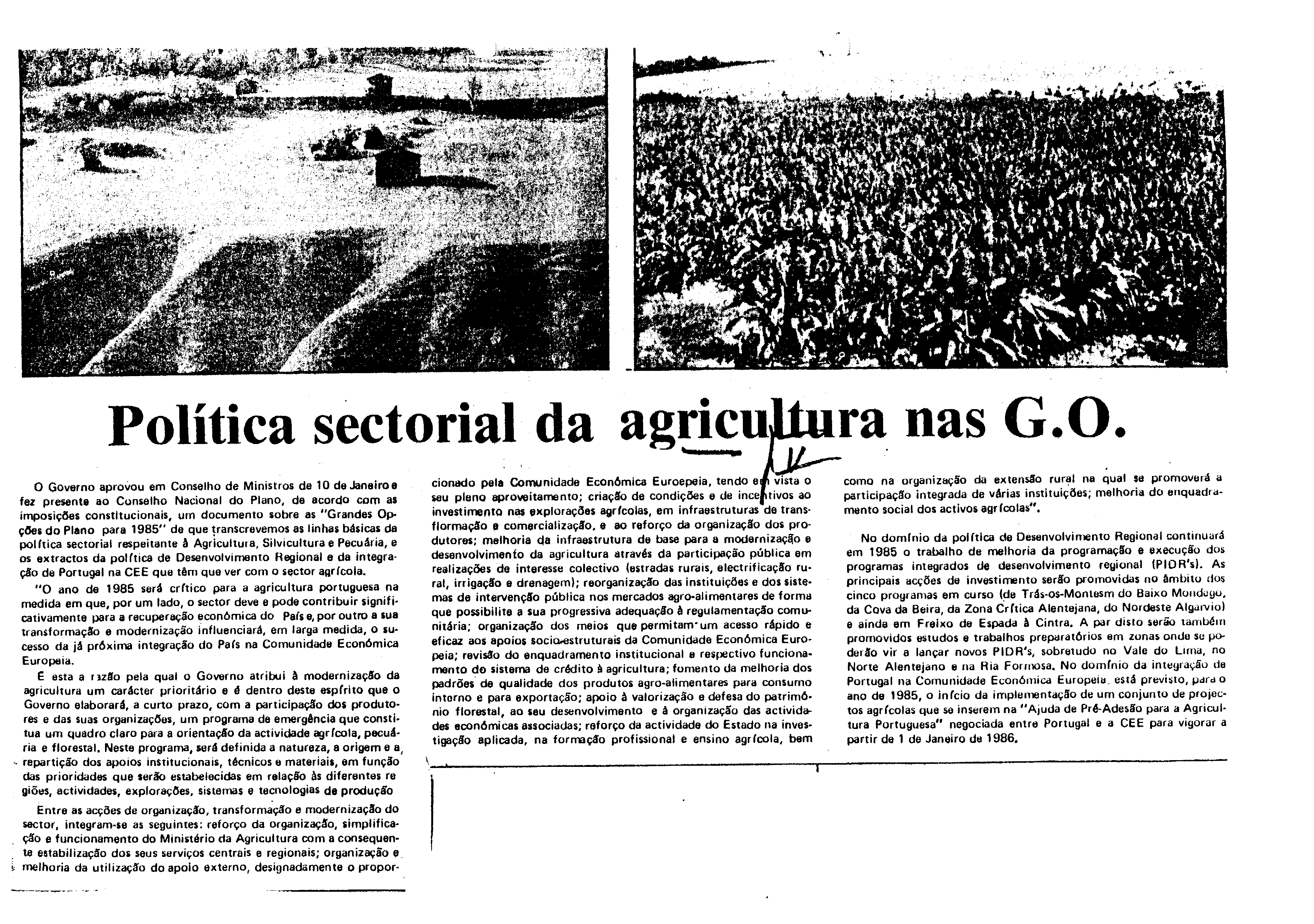 03564.002- pag.28