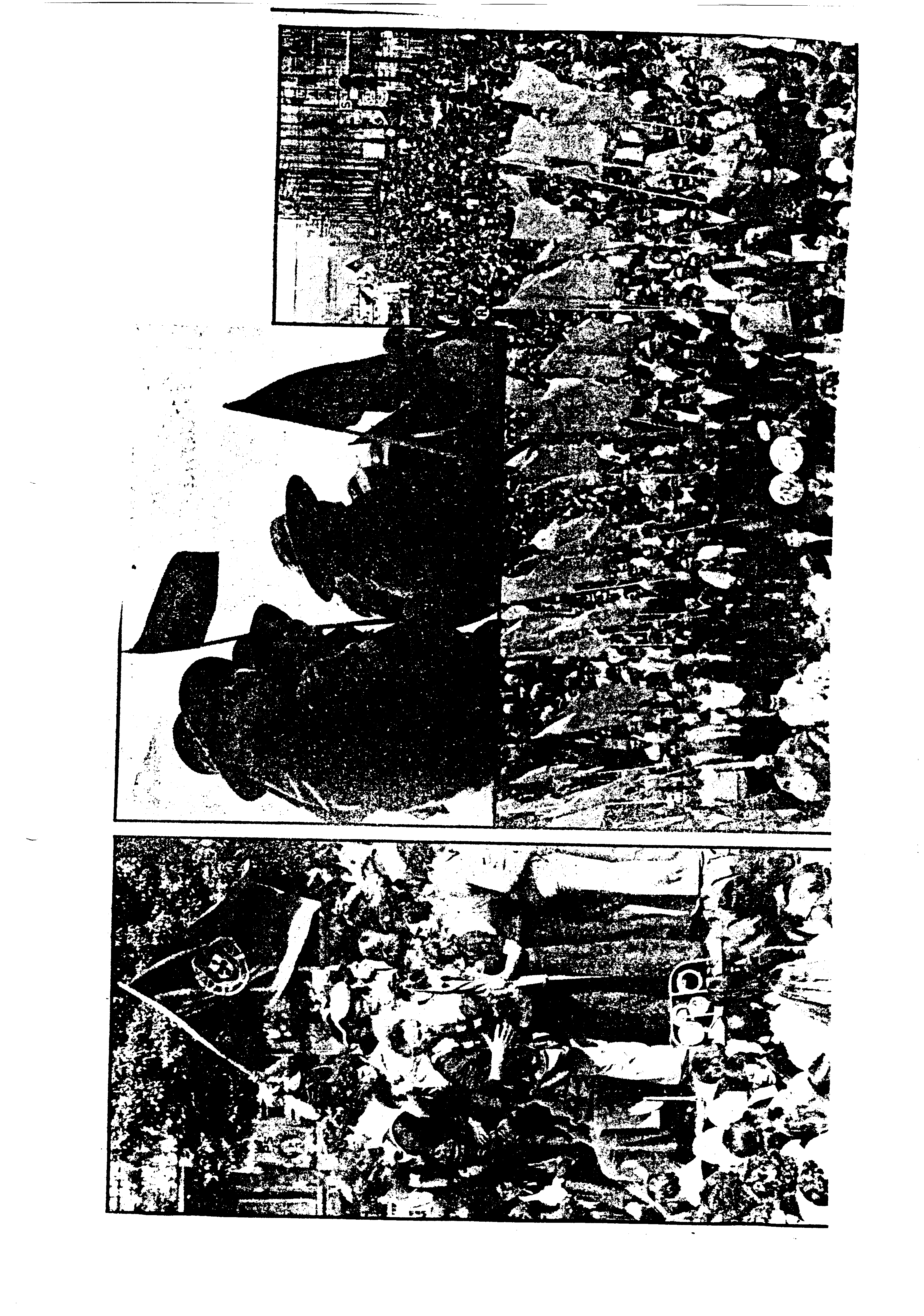 03593.001- pag.119