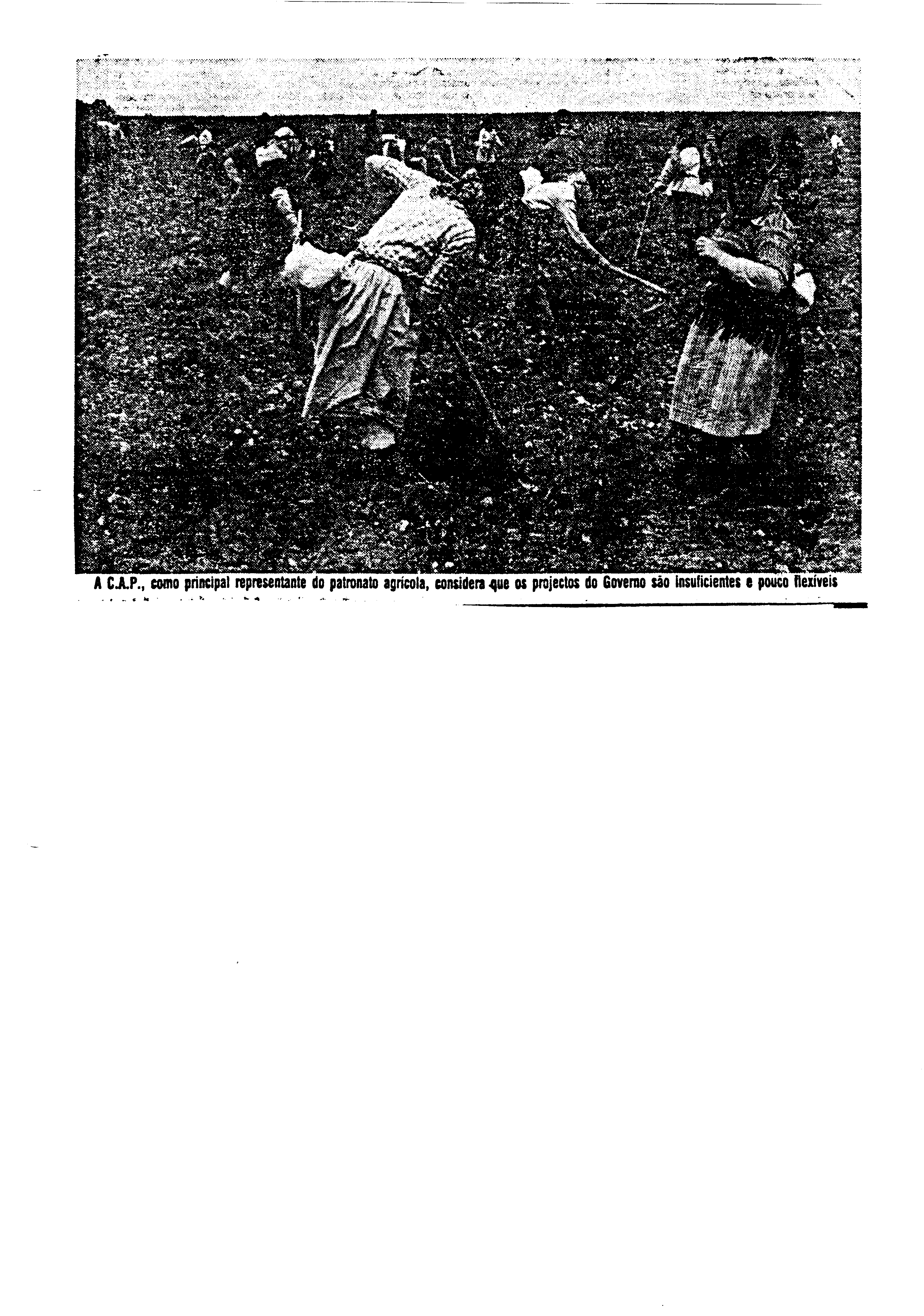 03593.002- pag.30