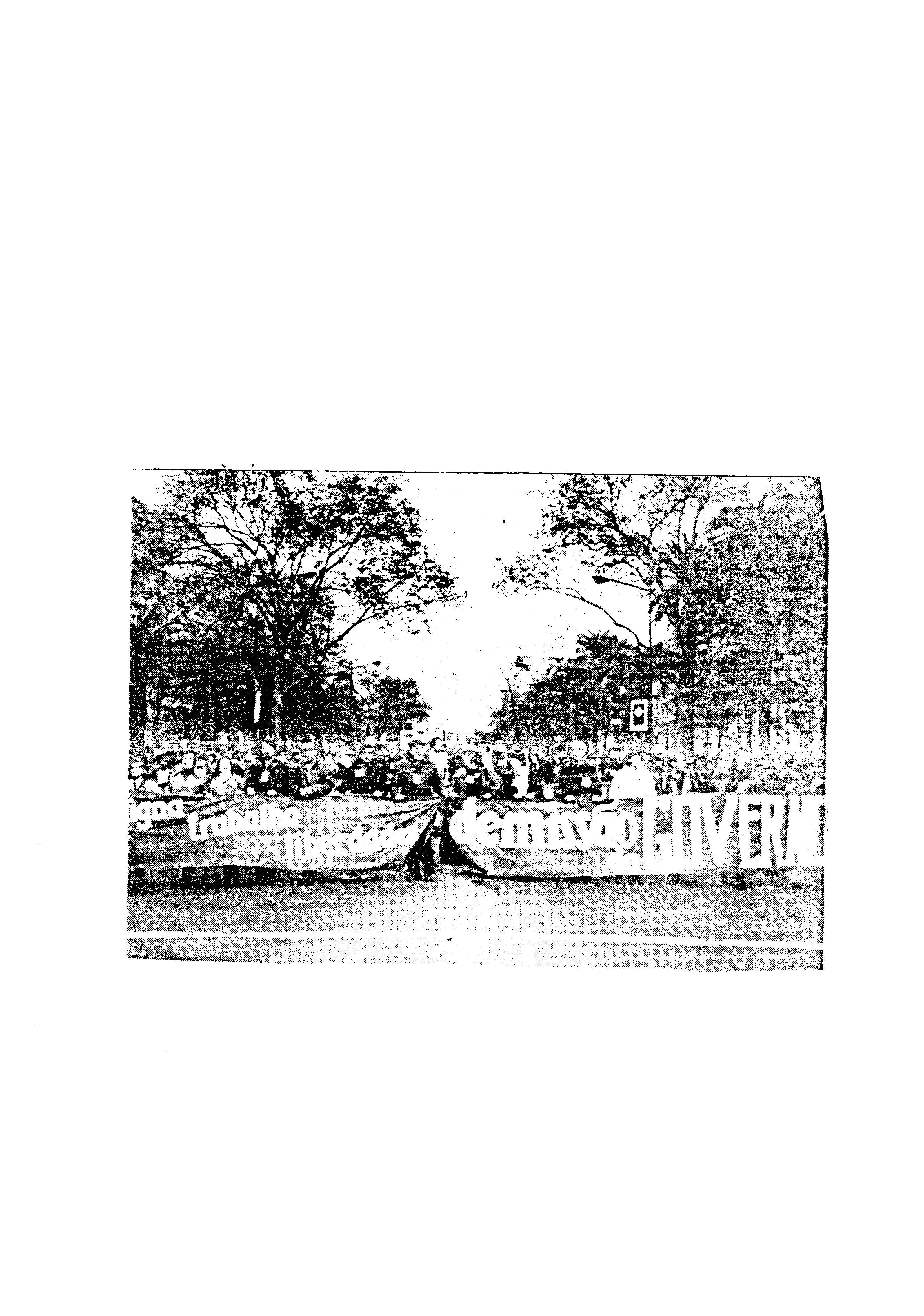 03593.003- pag.59