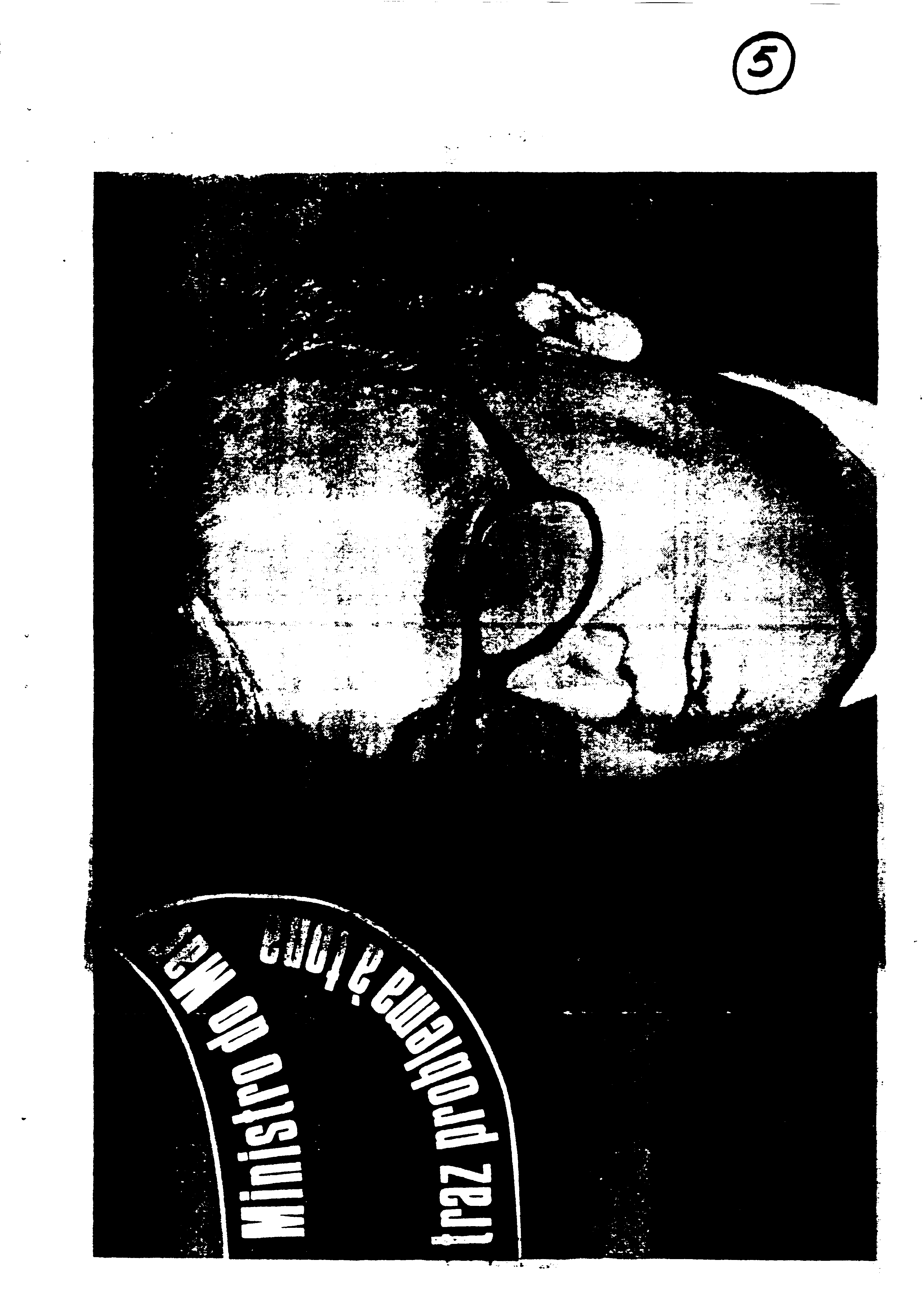 03616.003- pag.32