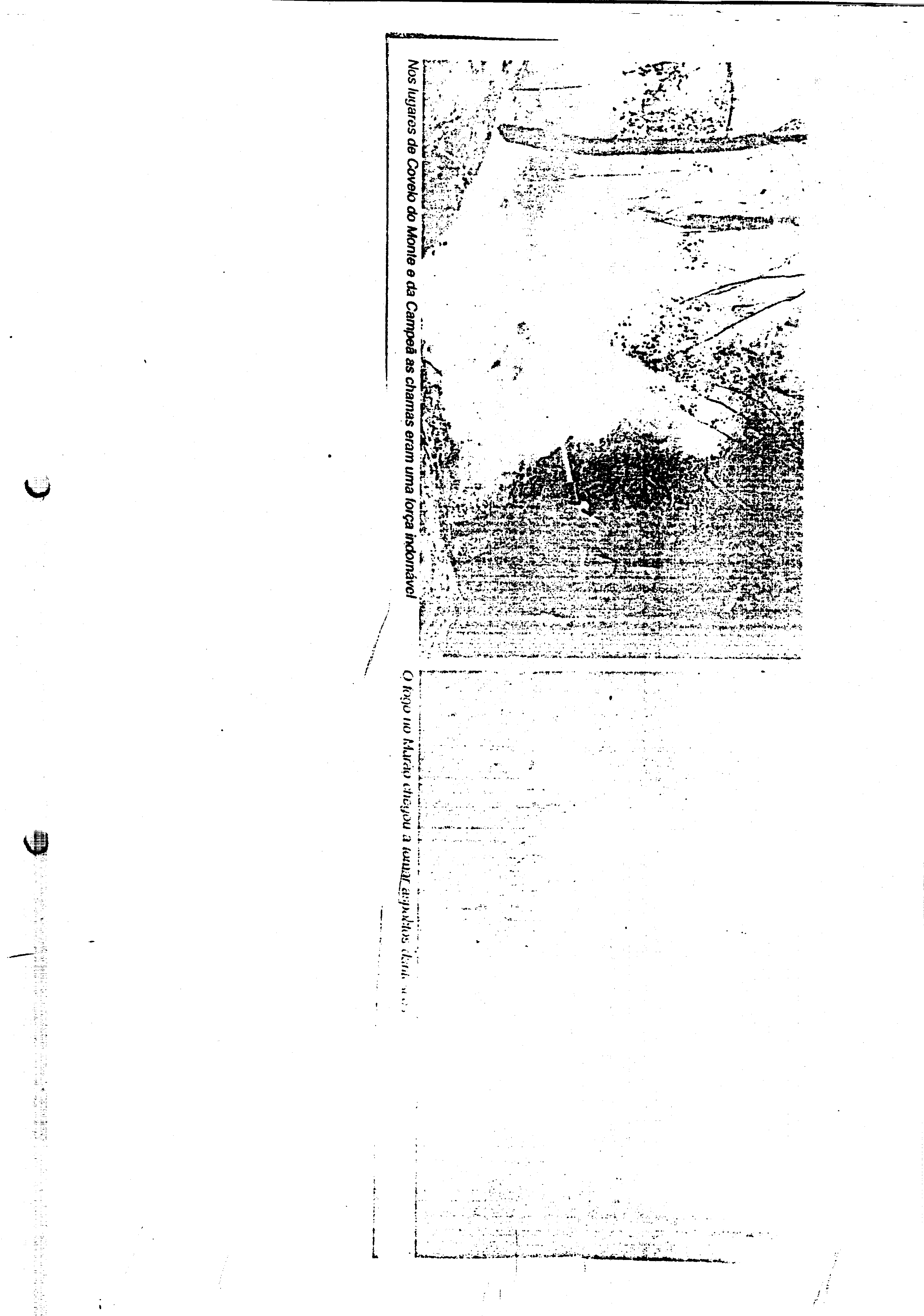03633.002- pag.18