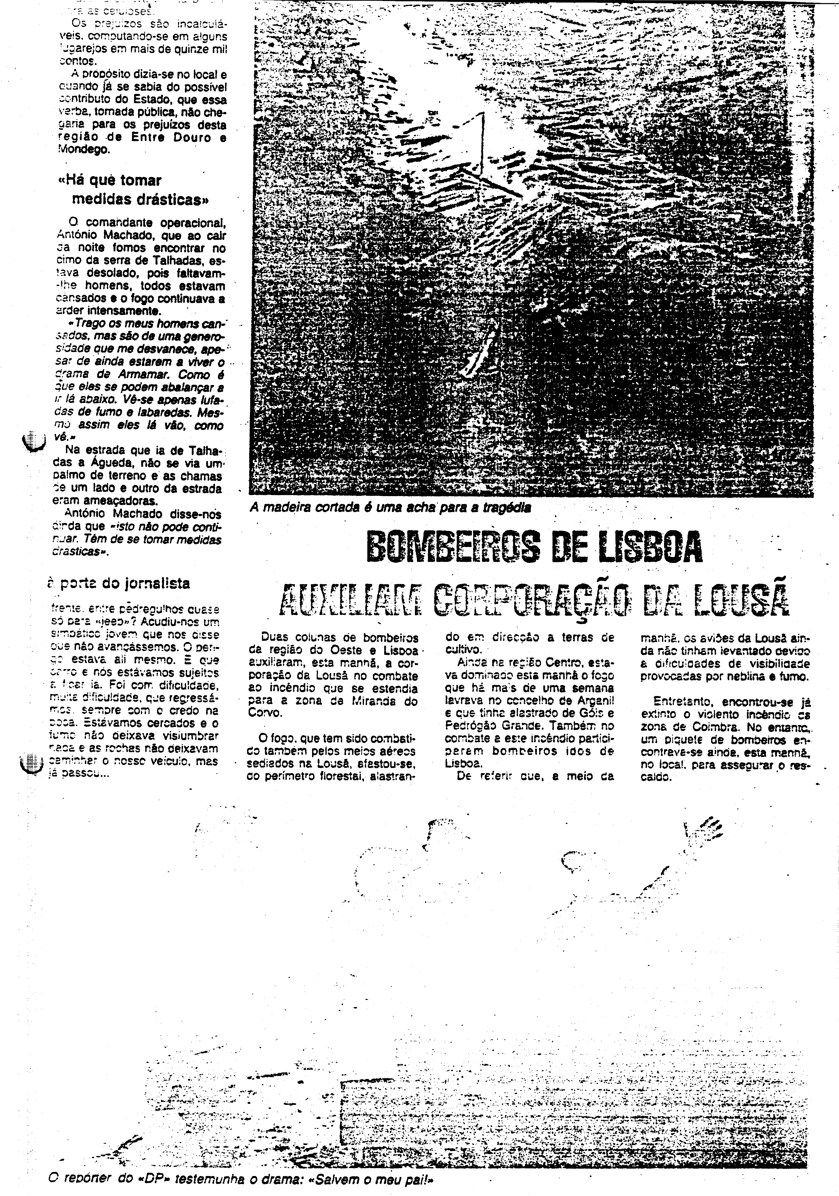 03633.002- pag.24