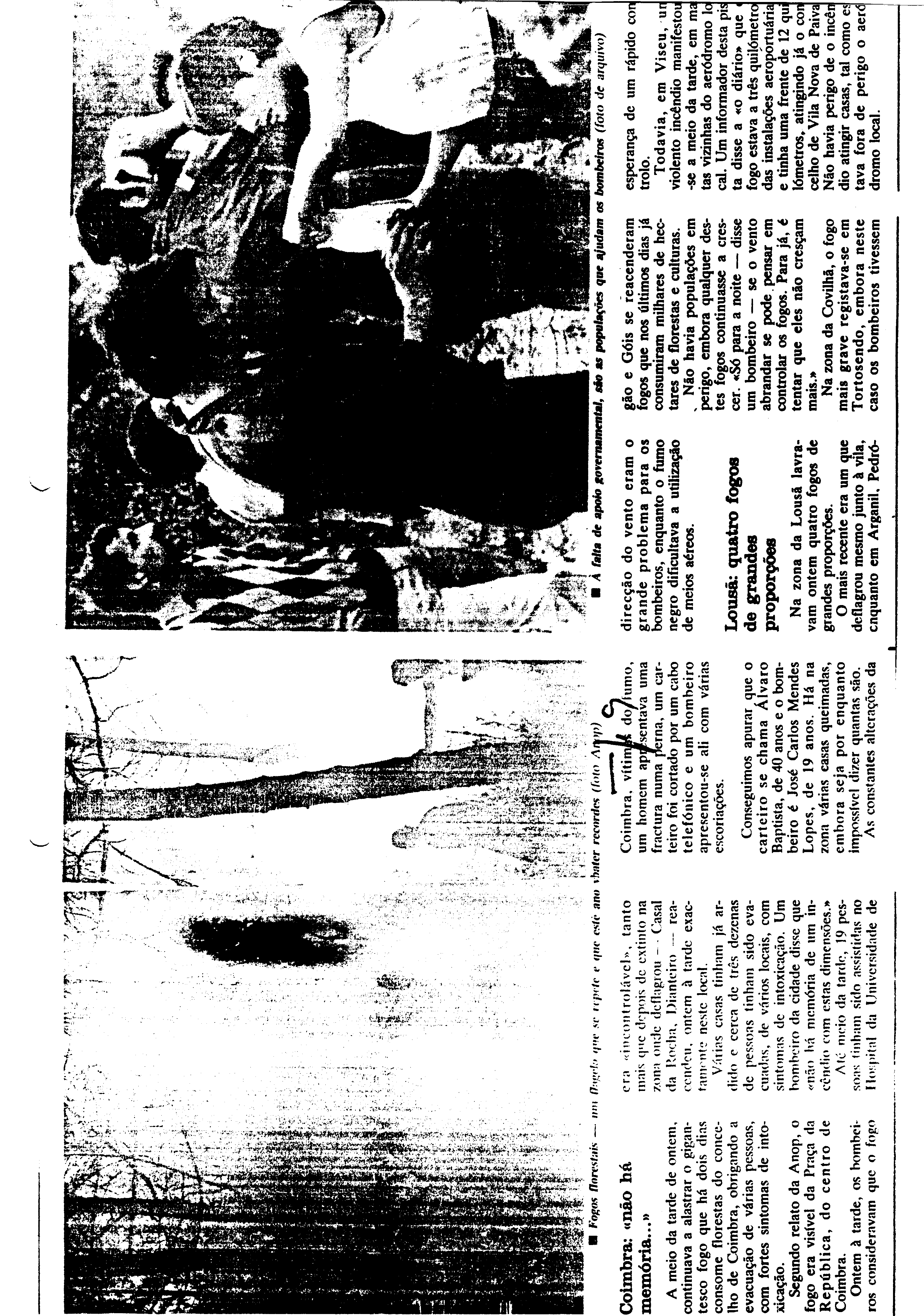 03633.002- pag.31