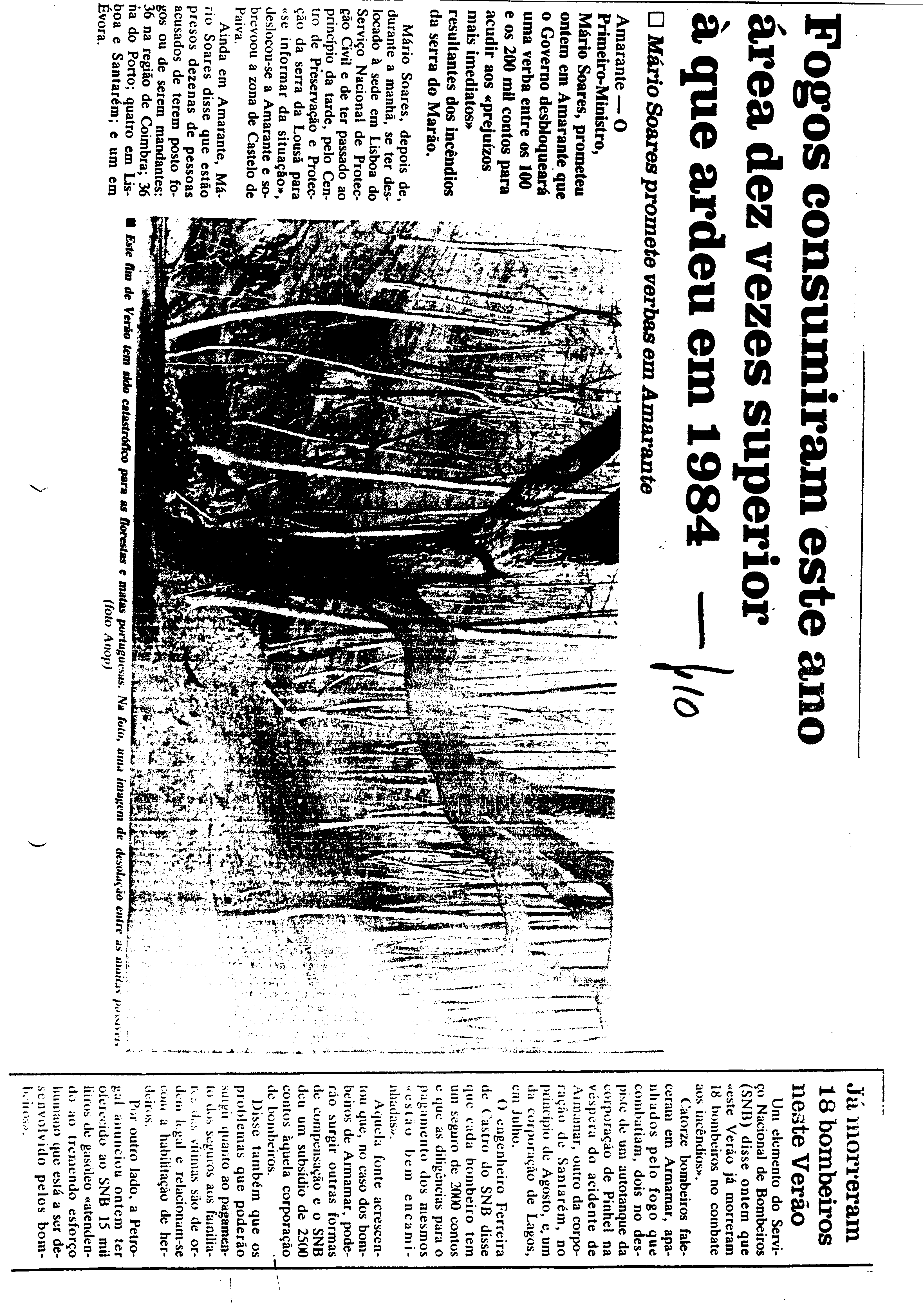 03633.002- pag.34