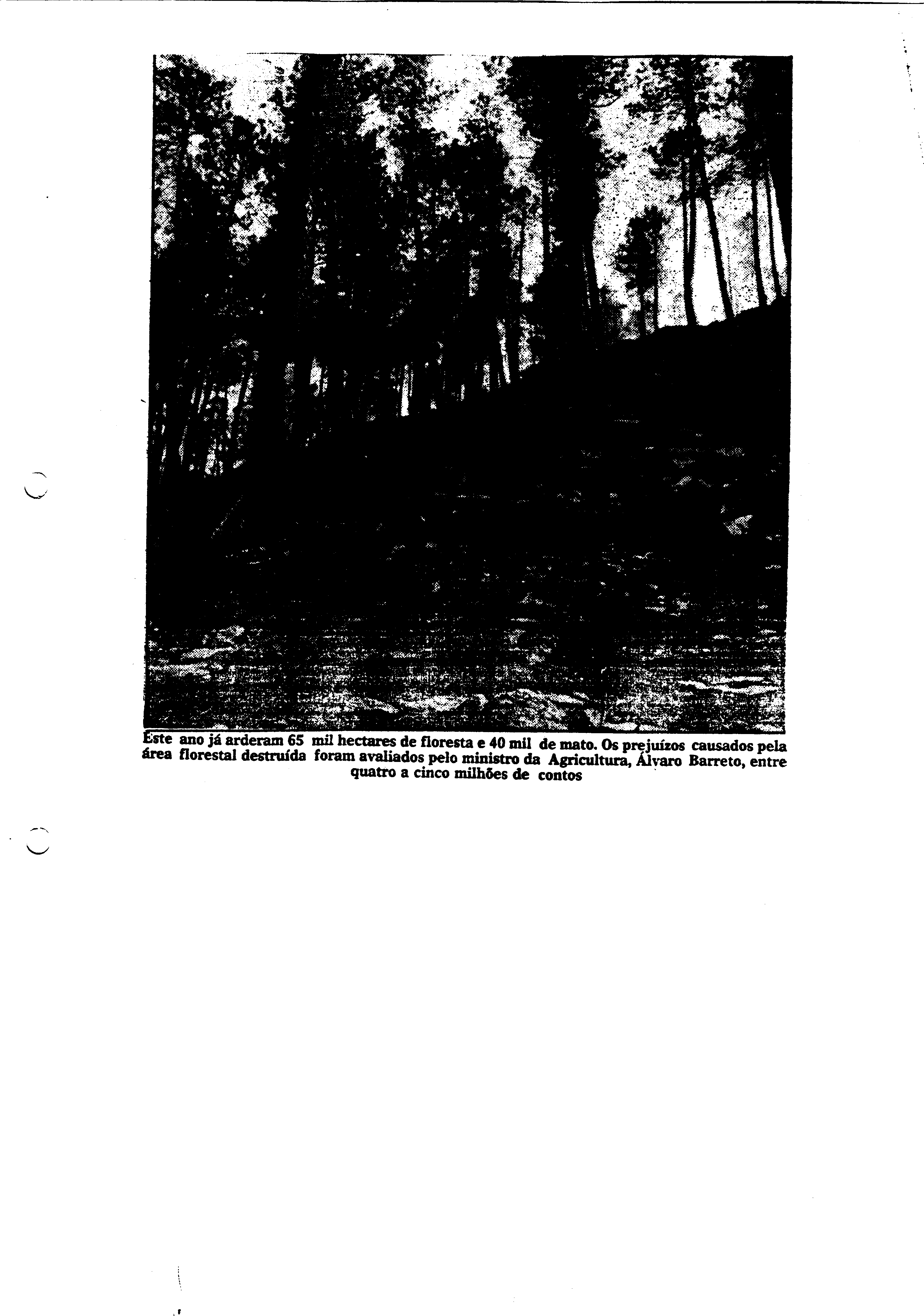 03633.002- pag.58