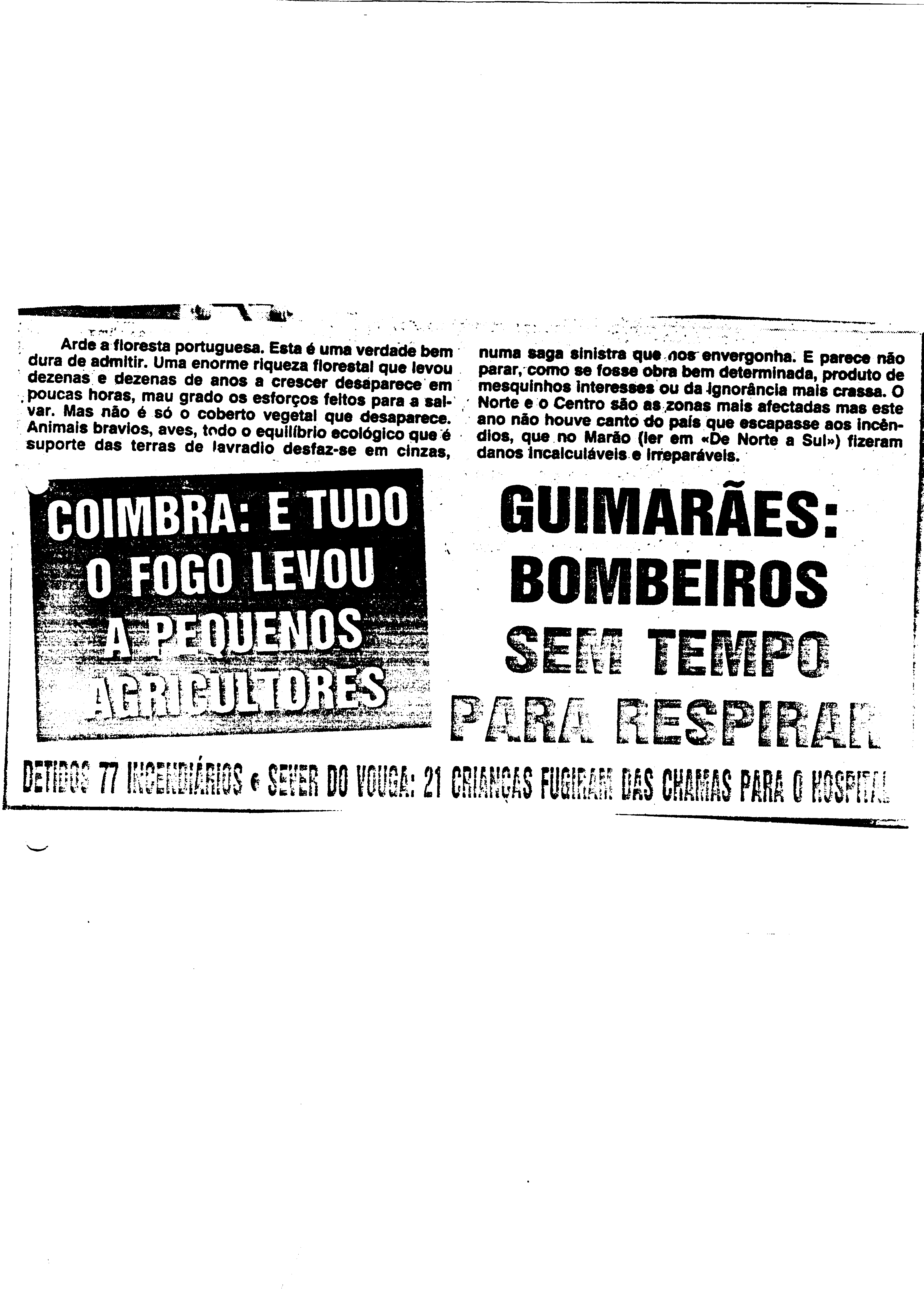03633.002- pag.71