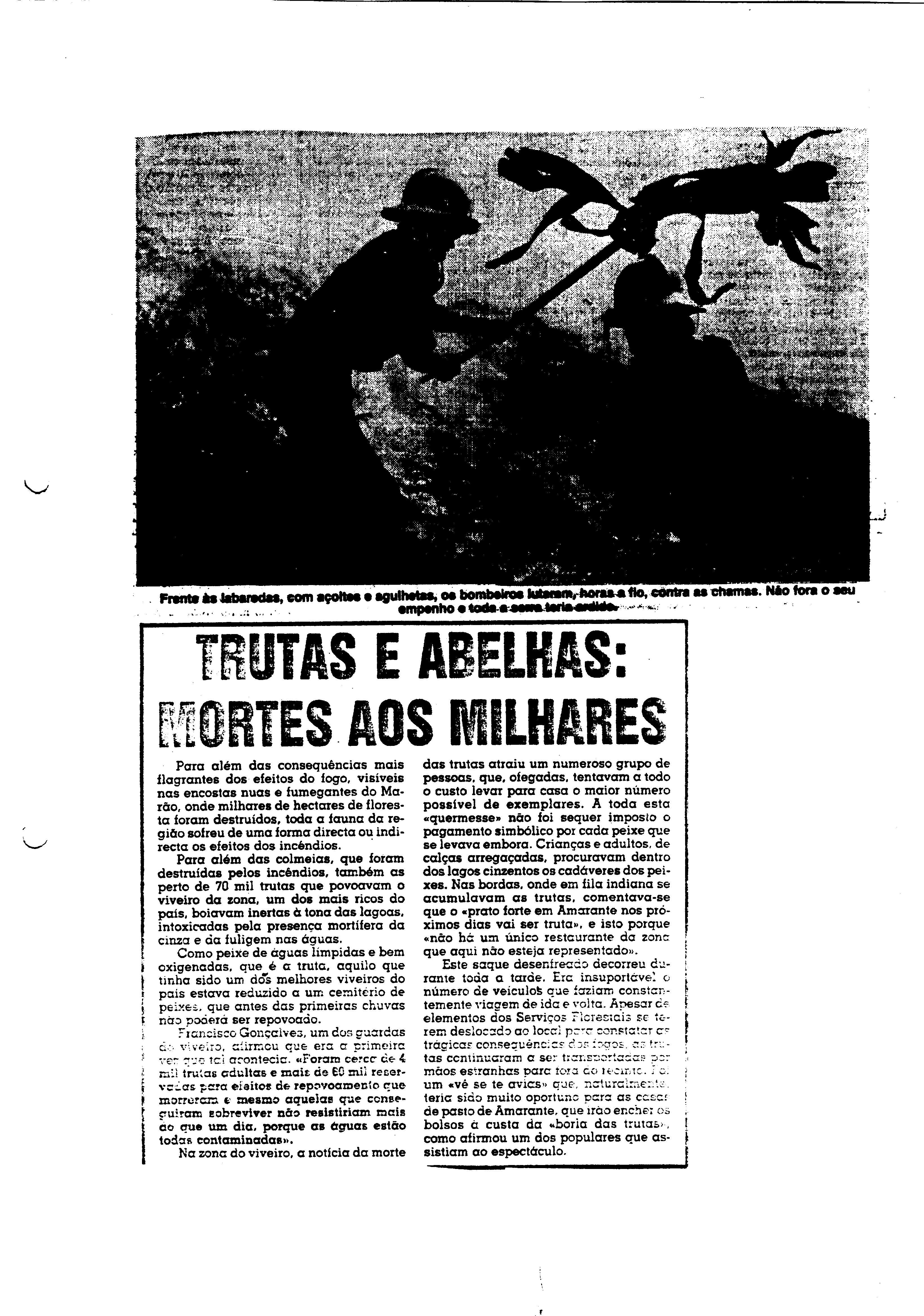 03633.002- pag.77