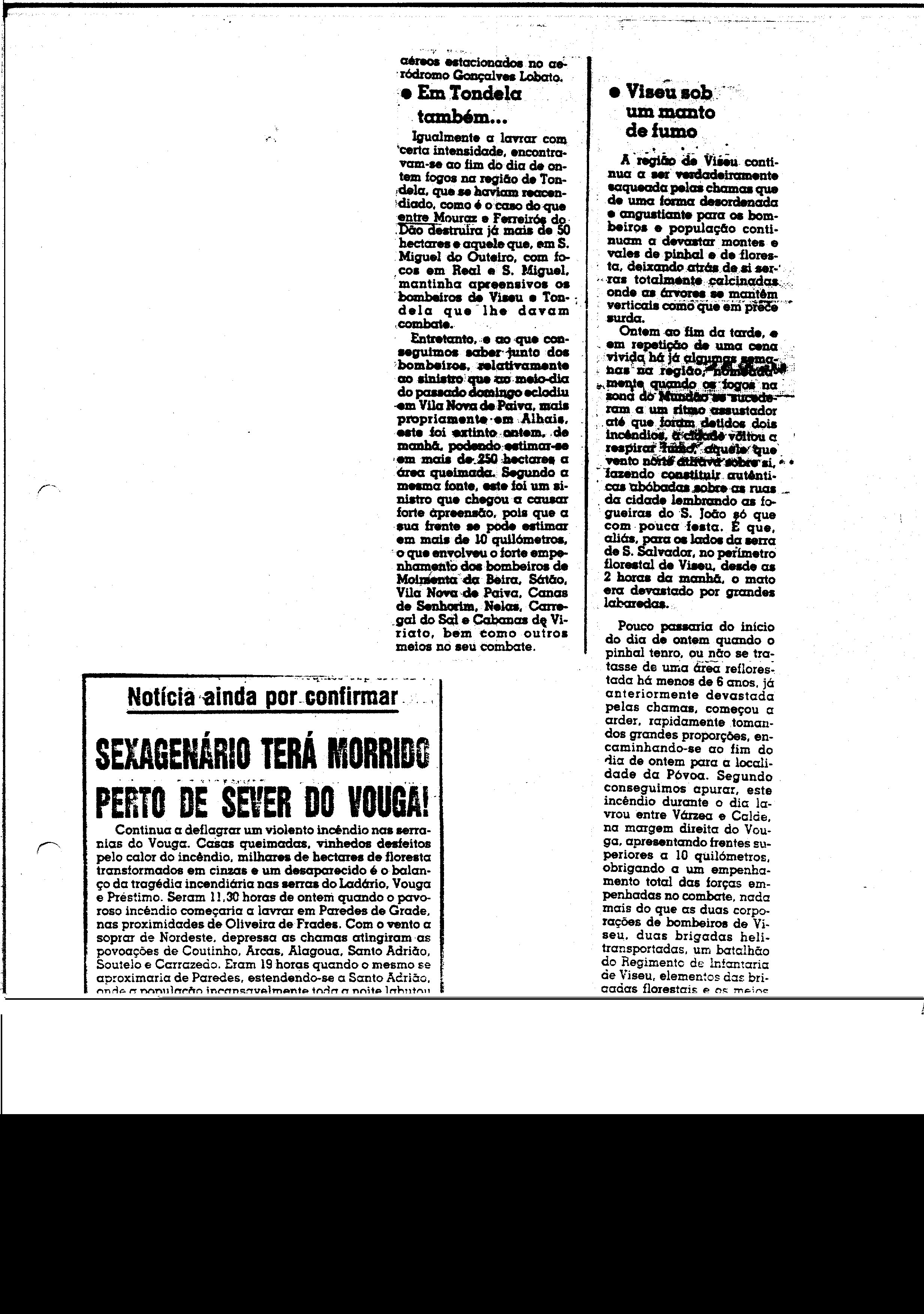 03633.002- pag.81