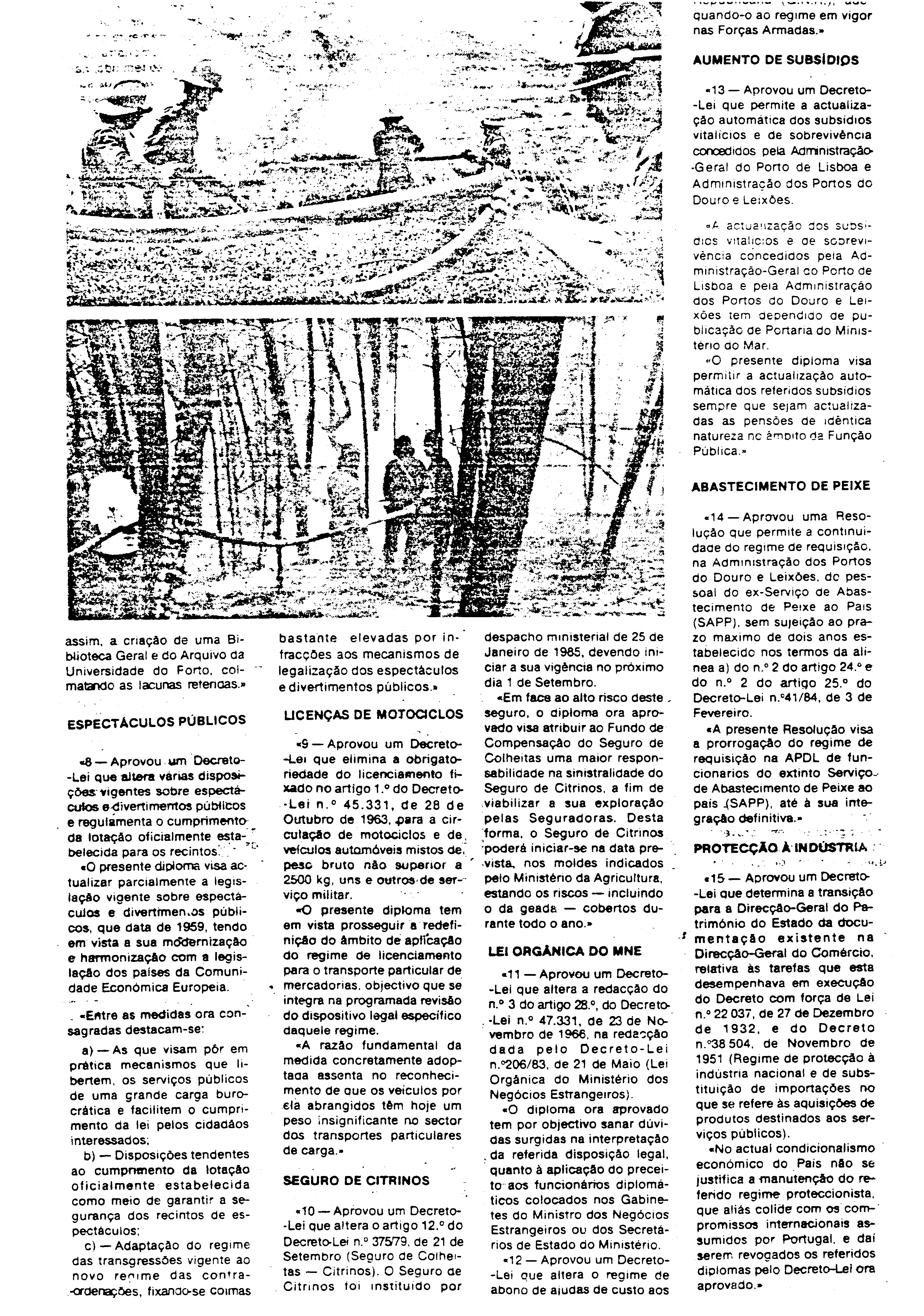 03633.004- pag.42