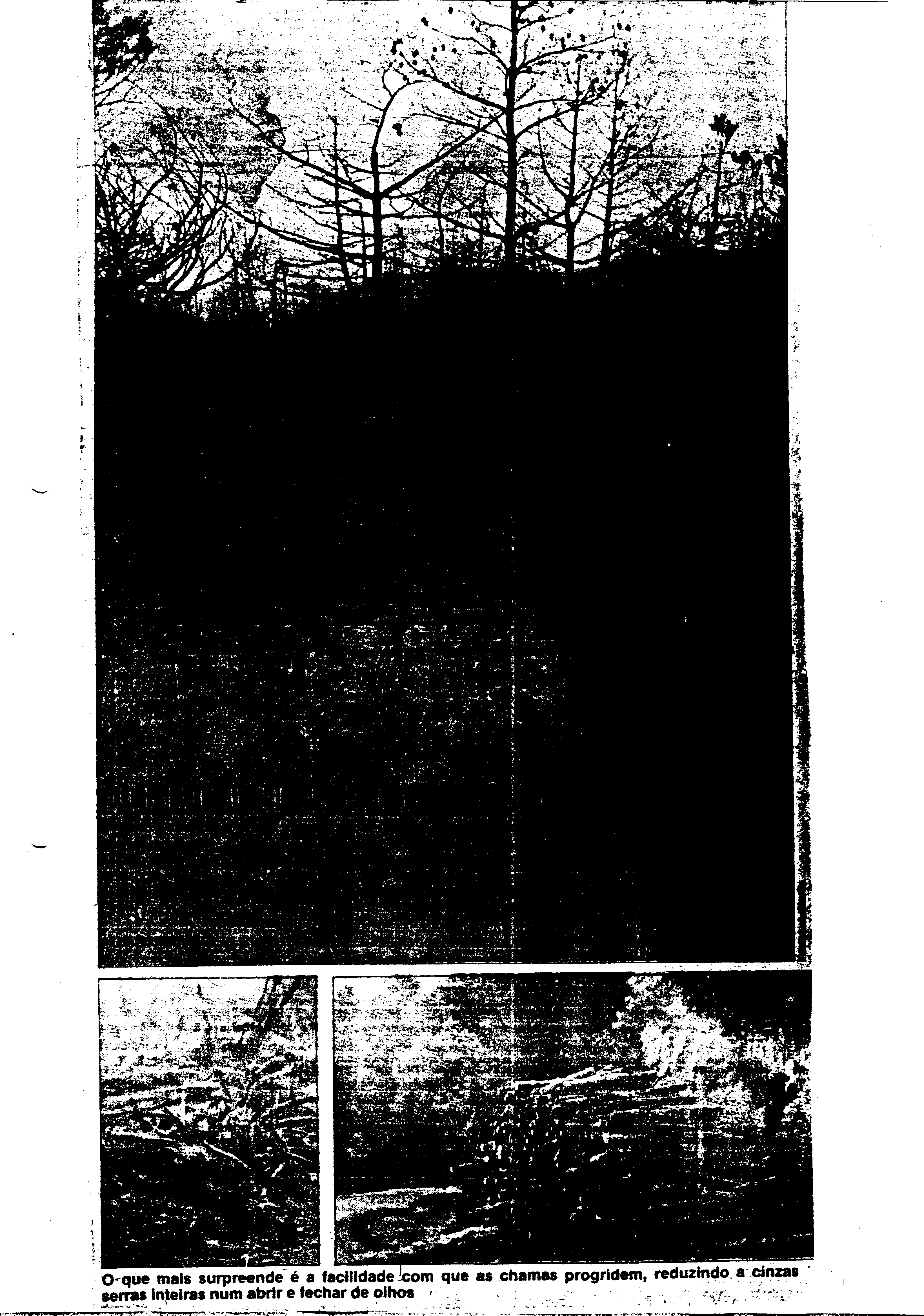 03684.002- pag.87