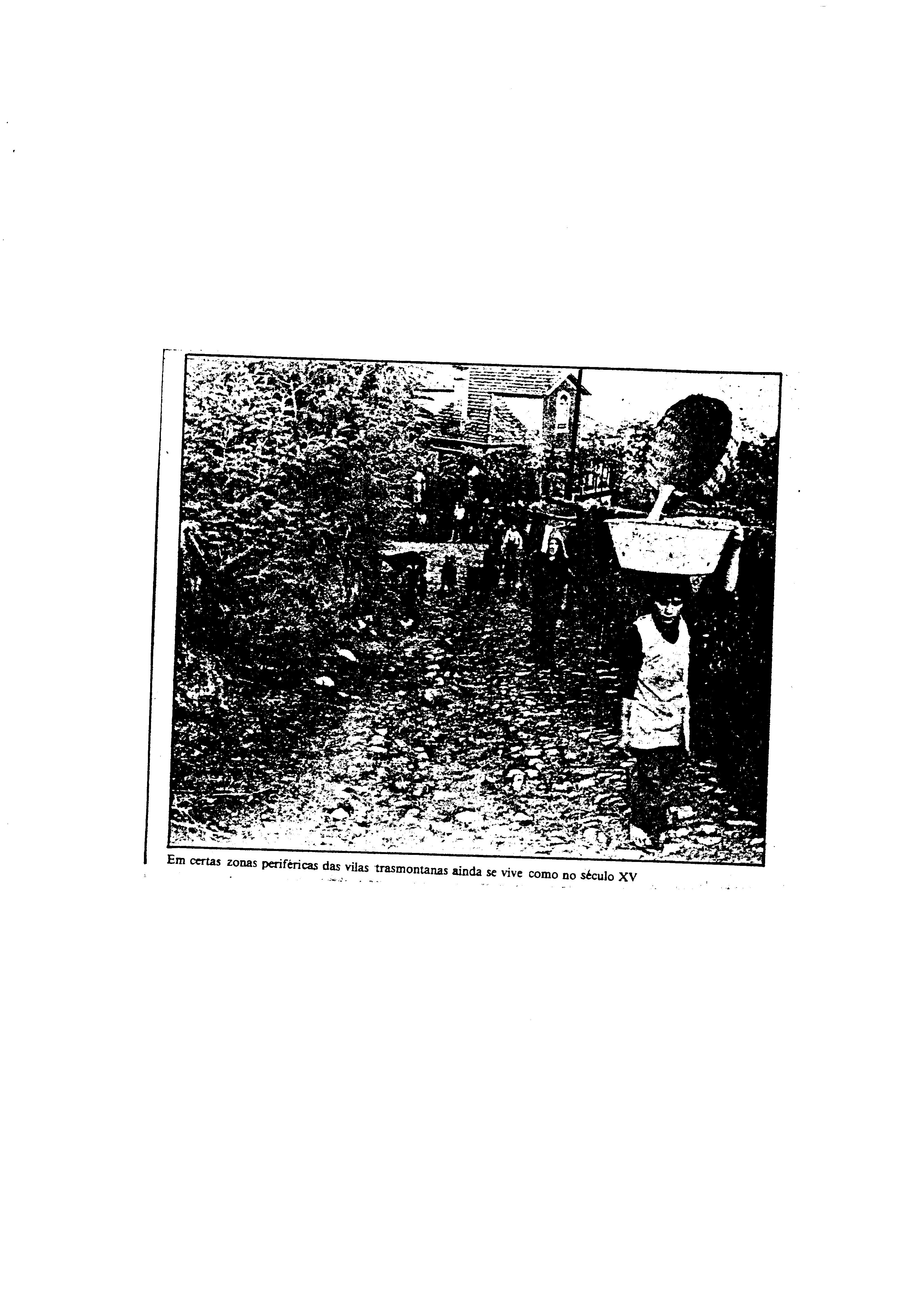 03688.001- pag.49