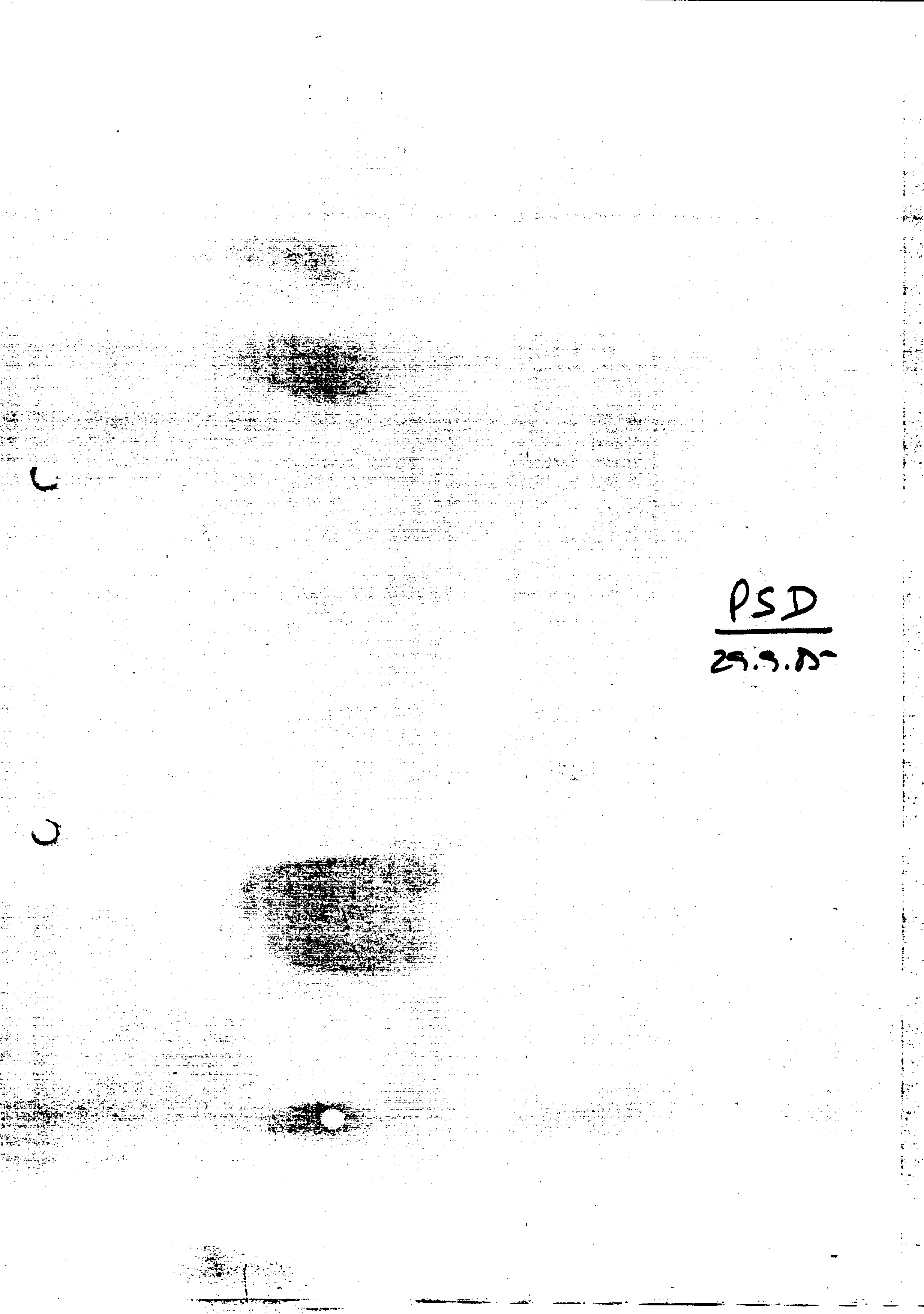 03771.002- pag.86
