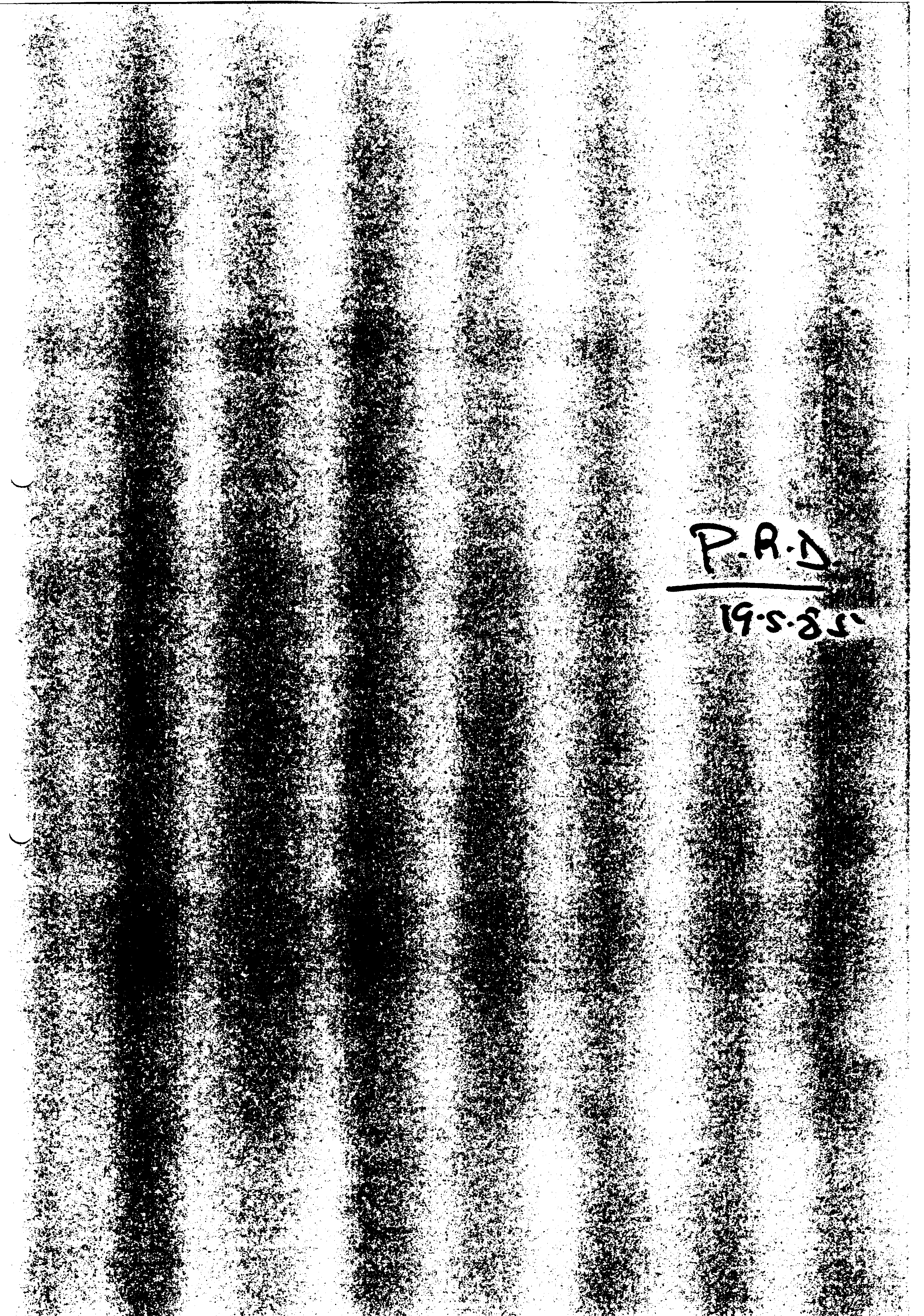 03785.001- pag.40