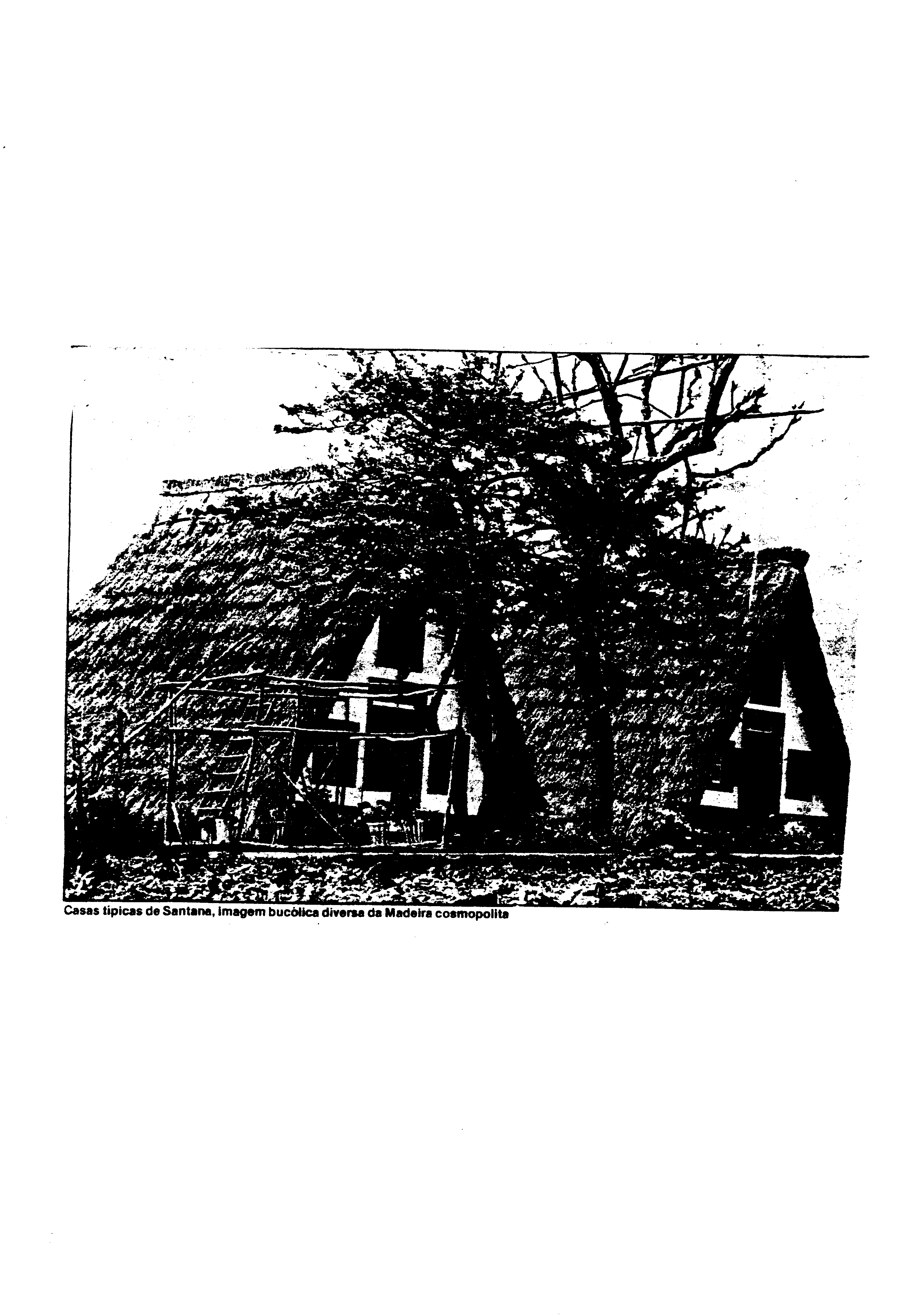 03811.002- pag.13