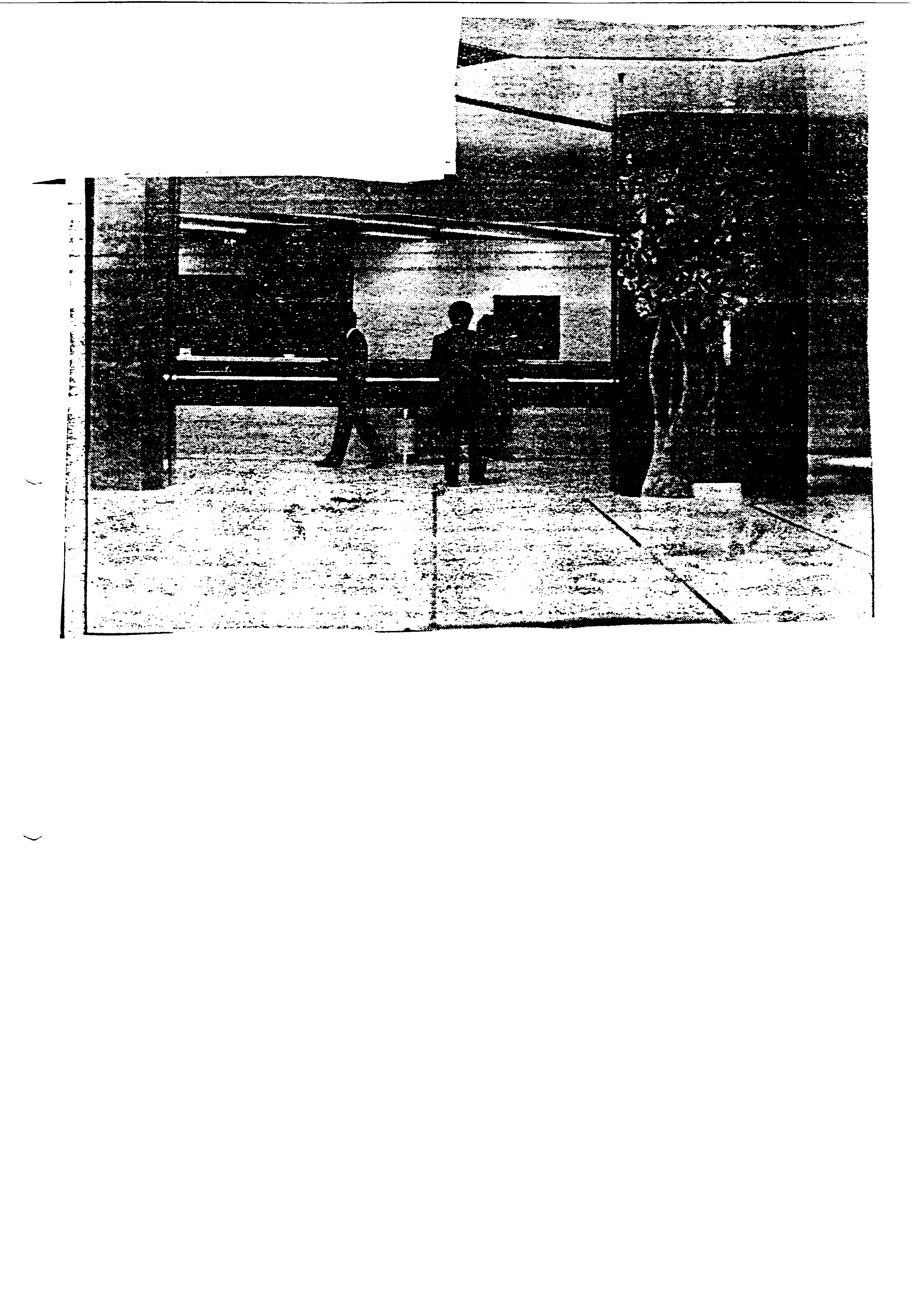 03815.004- pag.27